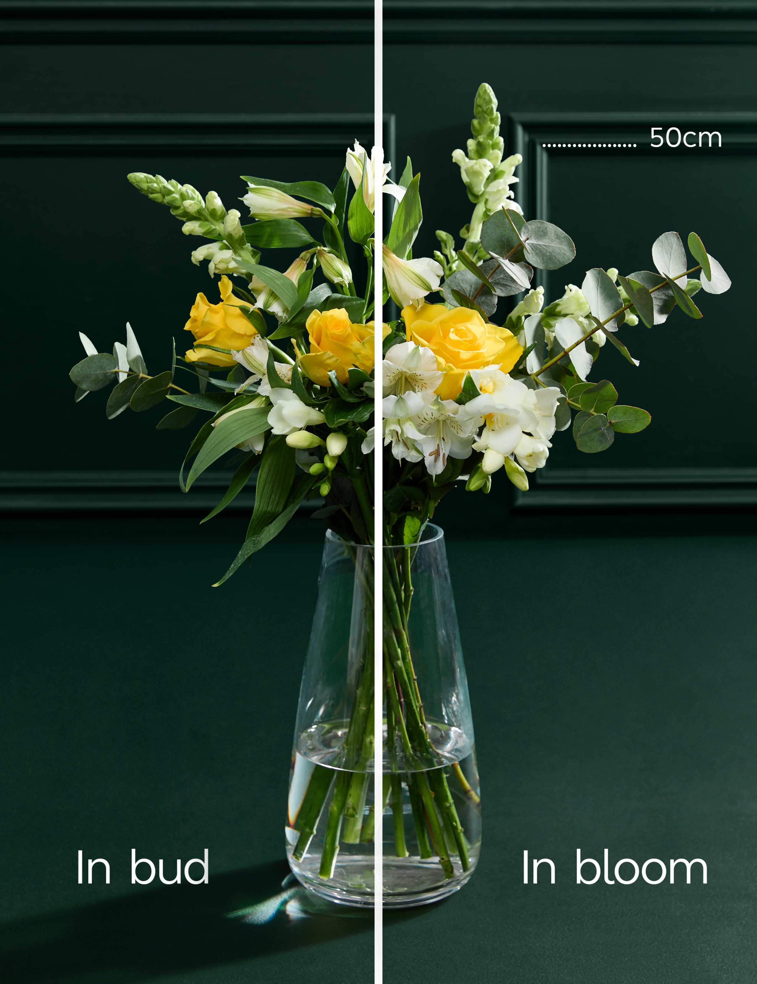 Yellow Rose & Scented Freesia Bouquet 5 of 7