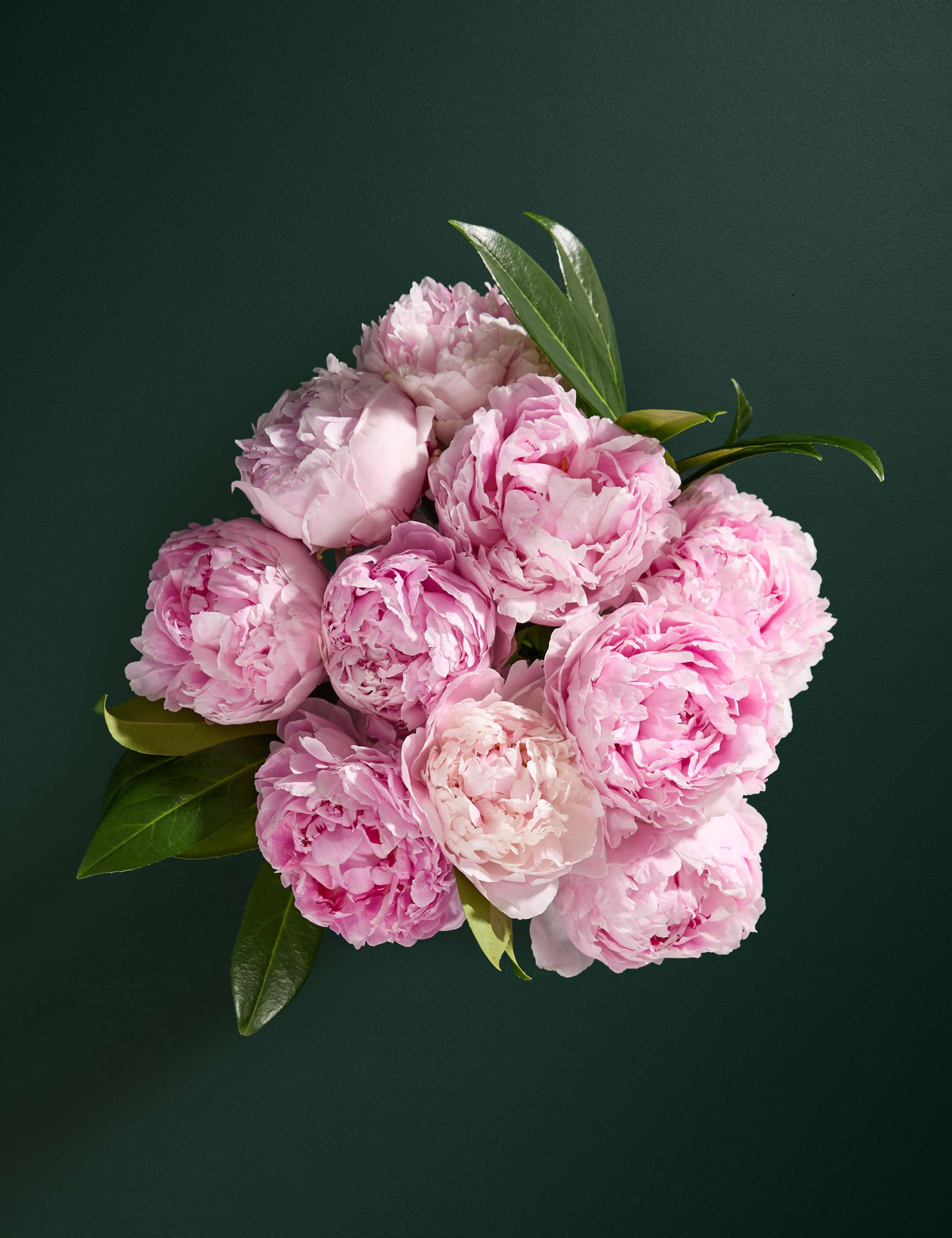 Pretty Peony Bouquet with Vase 2 of 7