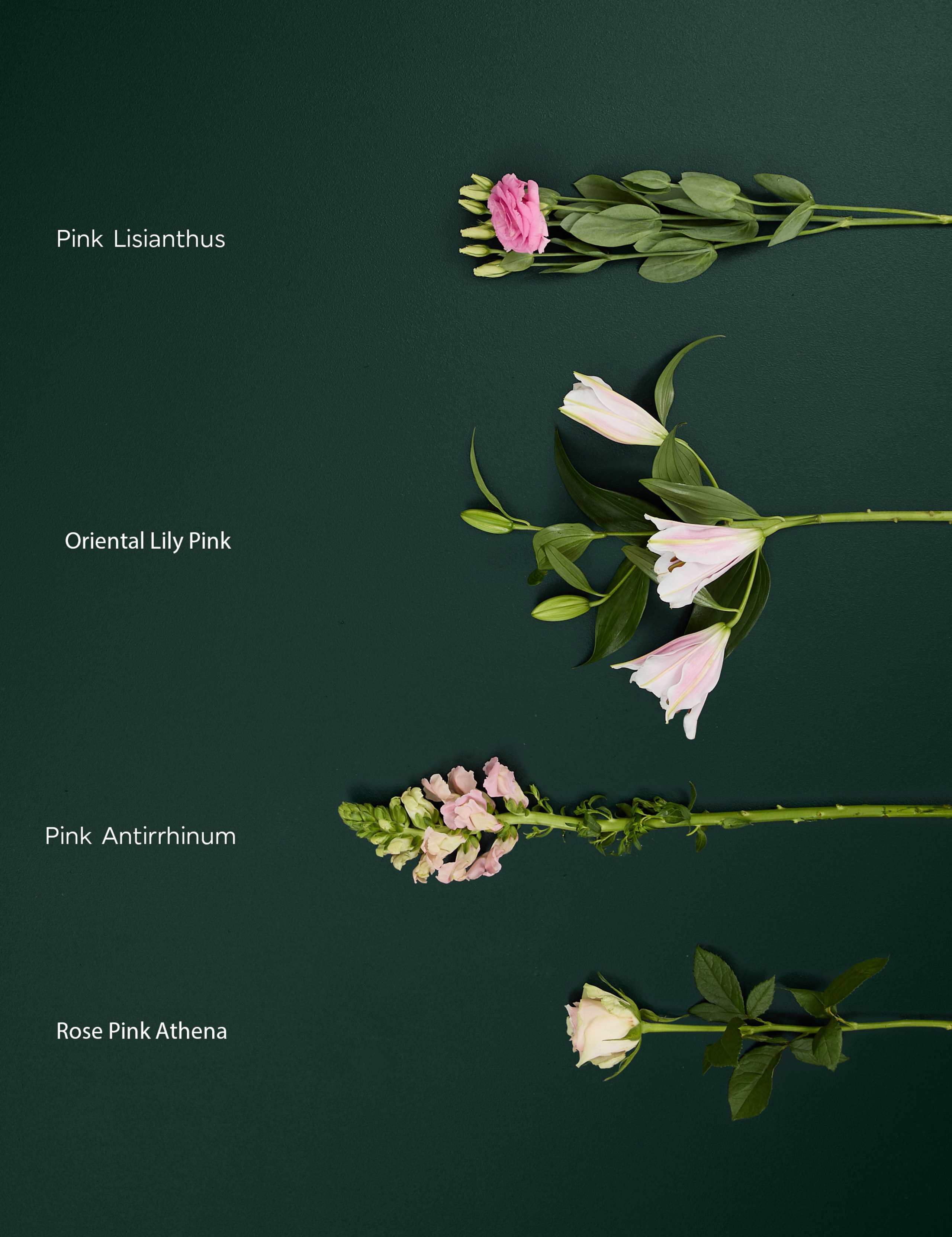 Rose Lily & Lisianthus Bouquet 4 of 7