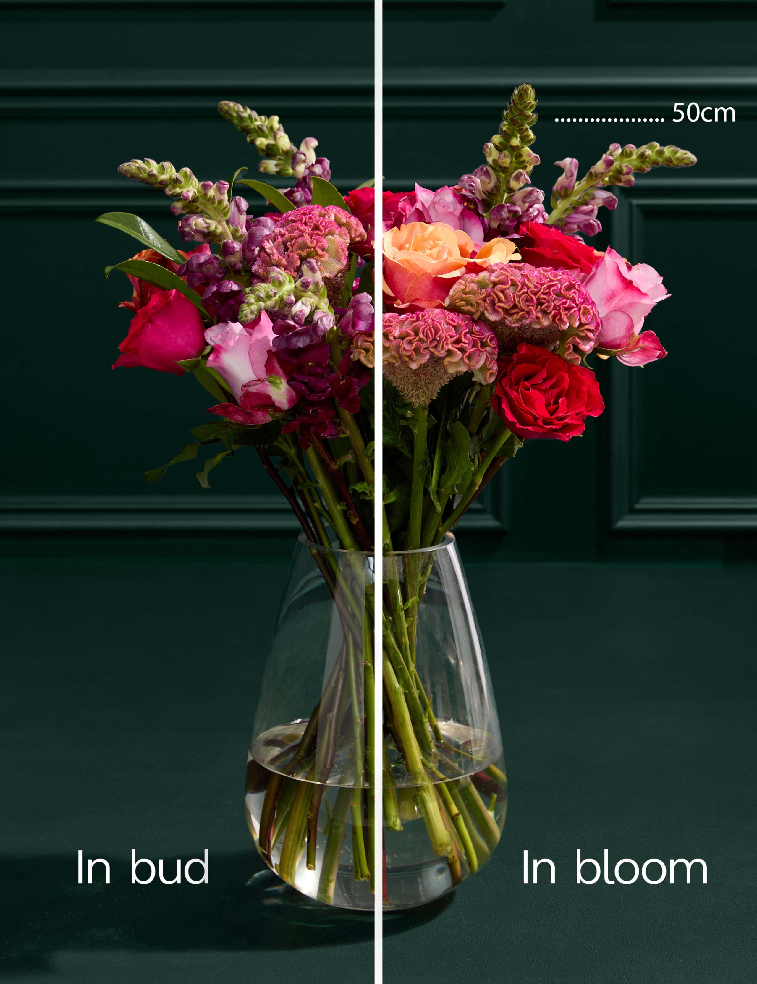 Rose Antirrhinum Celosia Bouquet 4 of 7