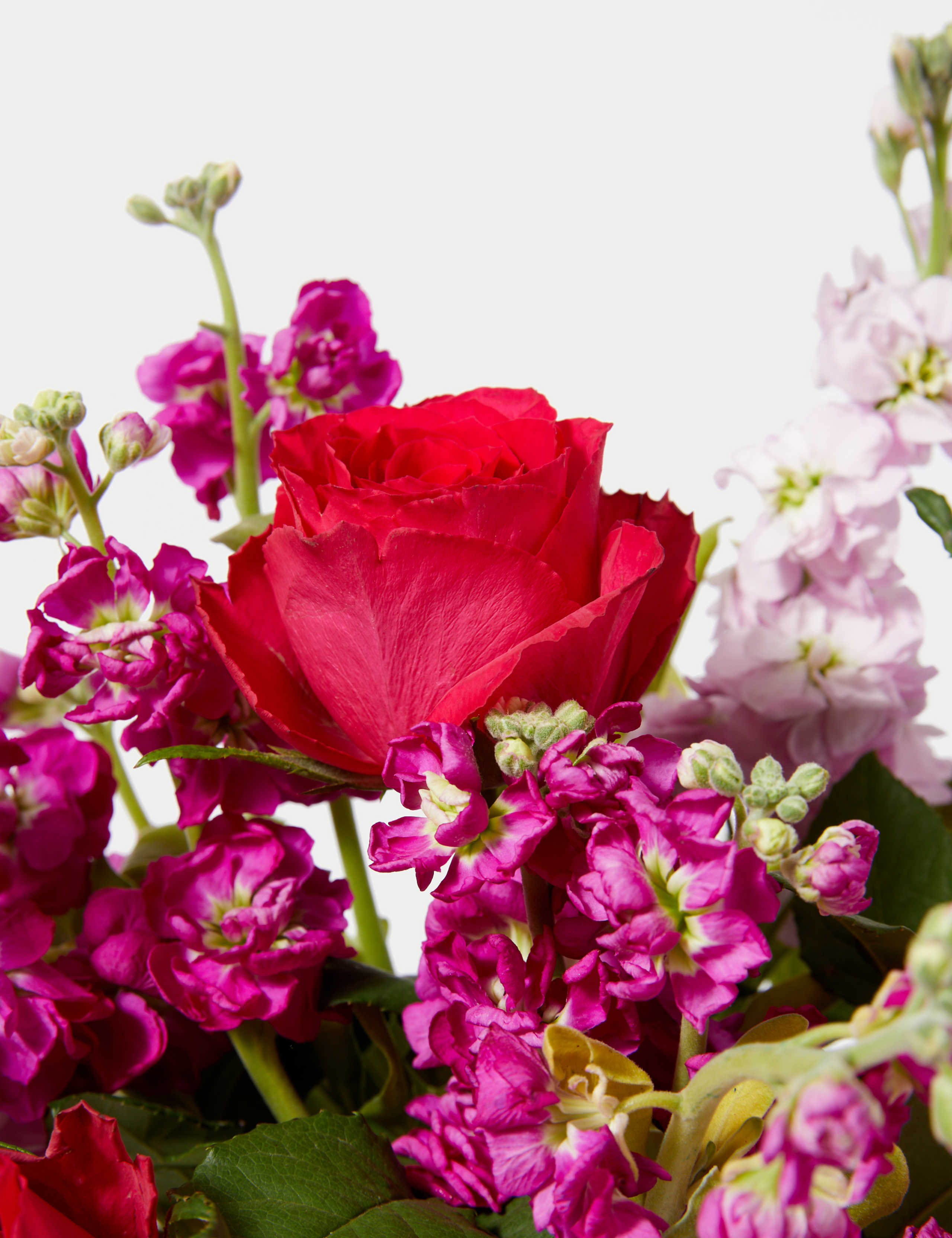 Roses & Stocks Flowers Bouquet 4 of 5