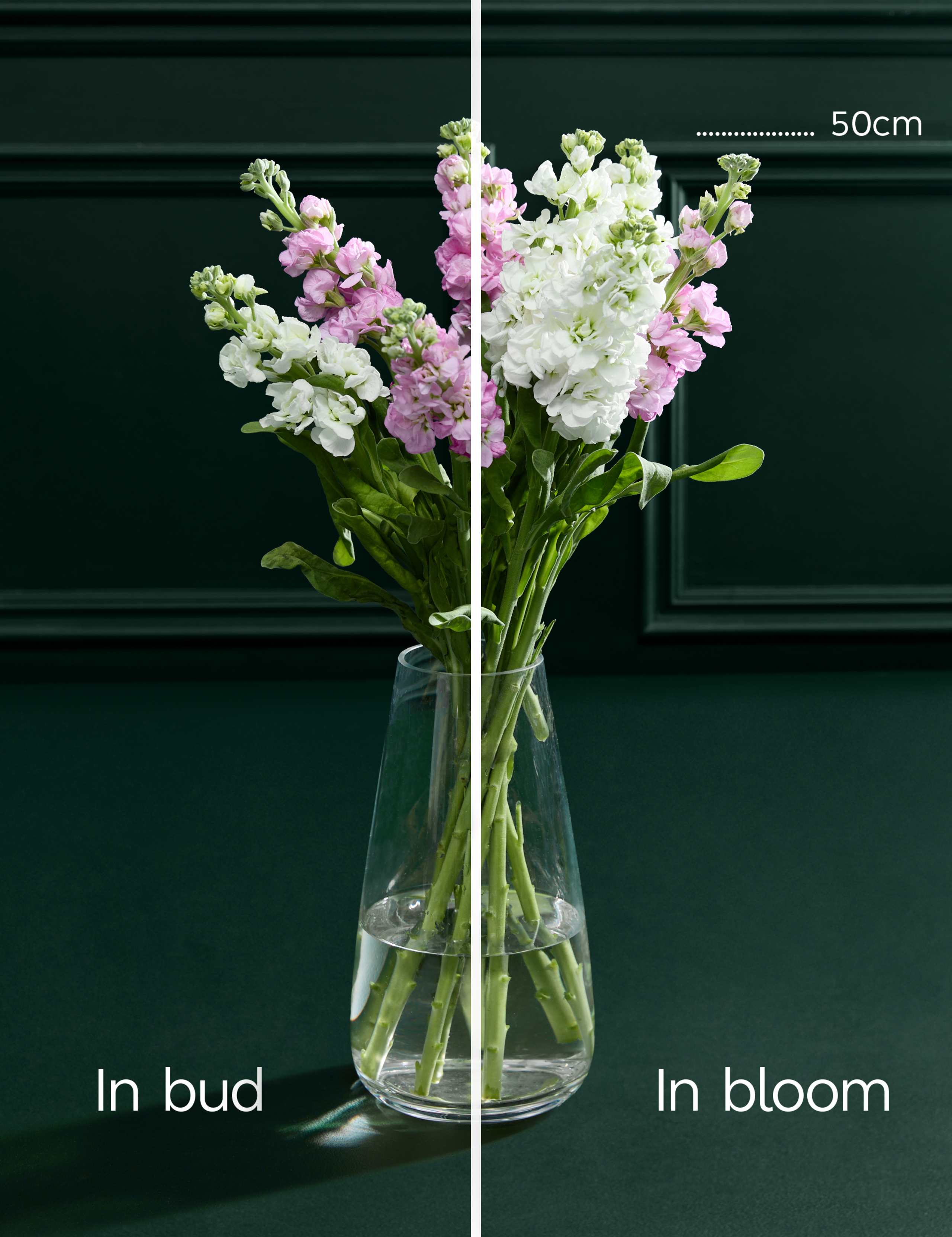 Stock Abundance Bouquet 4 of 6