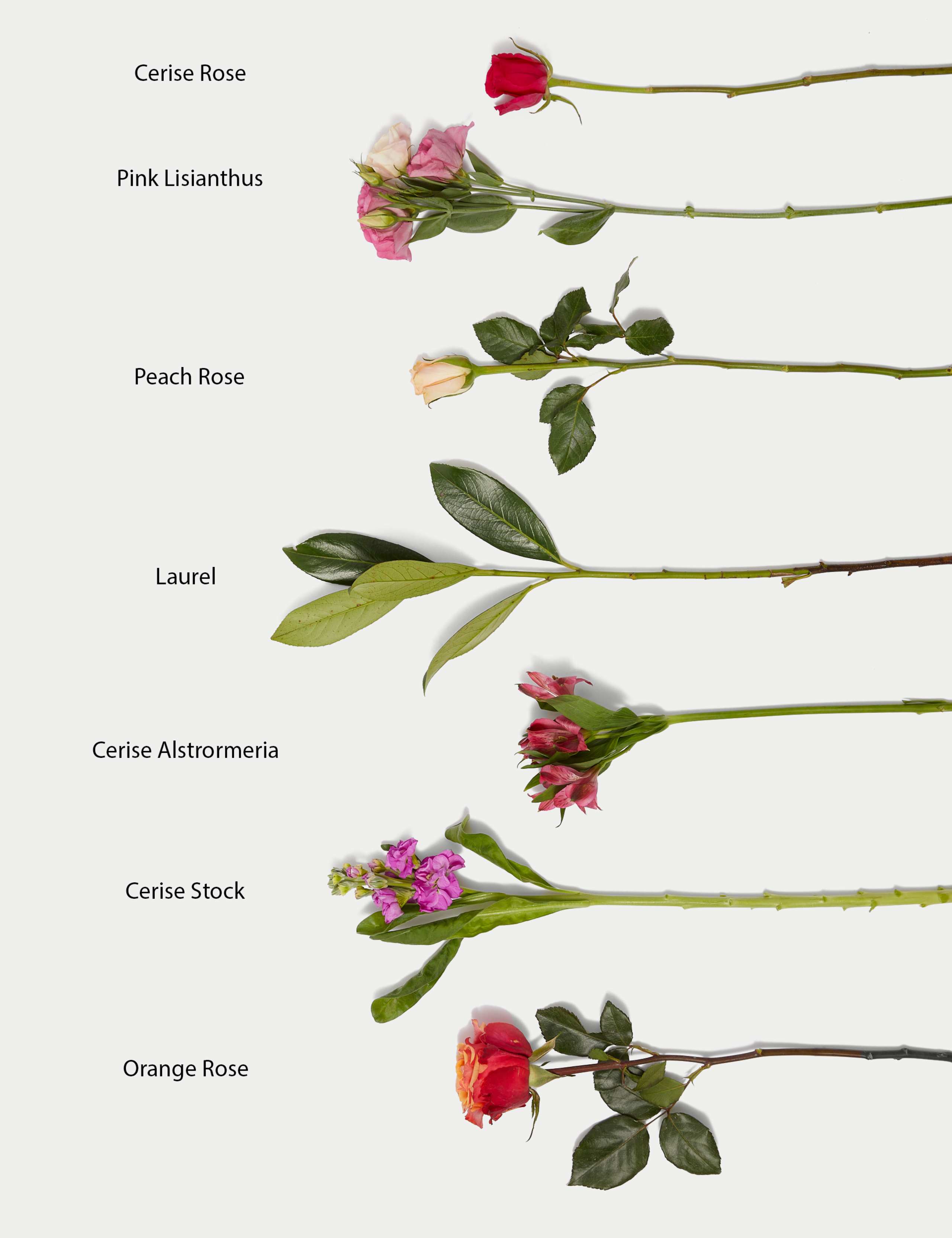 Roses, Lisianthus & Stock Bright Bouquet With Caramel Collection & Prosecco 6 of 7