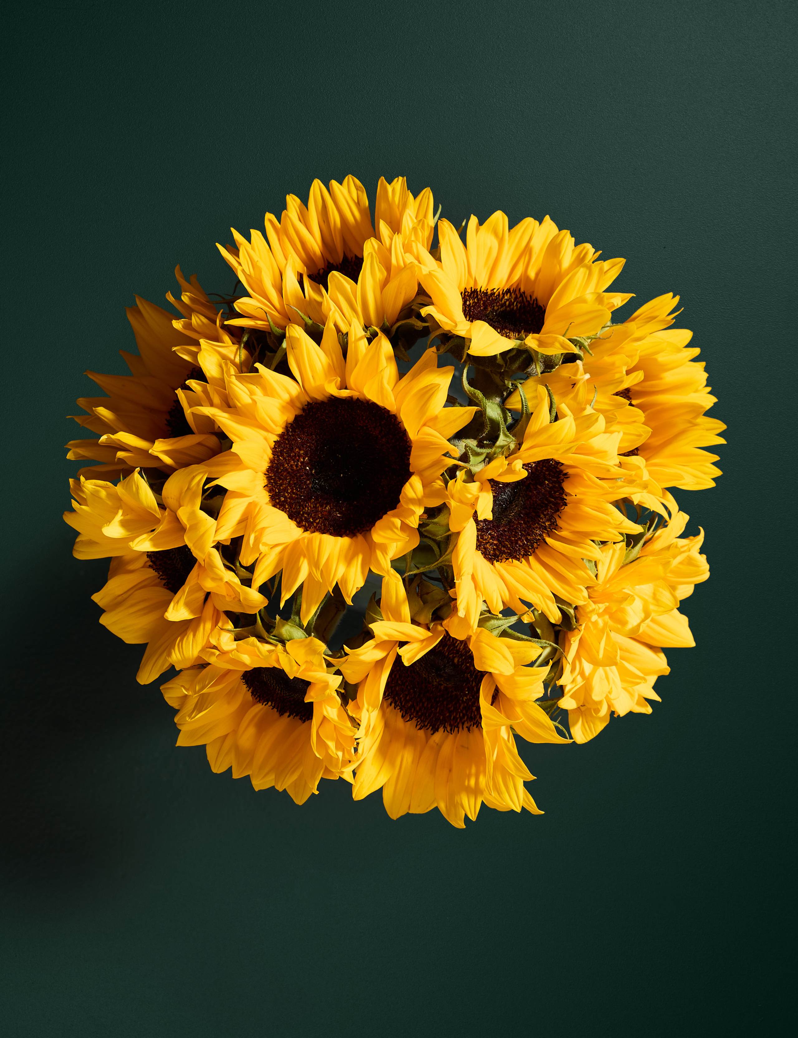 British Sunflowers Bouquet & Champagne 2 of 7