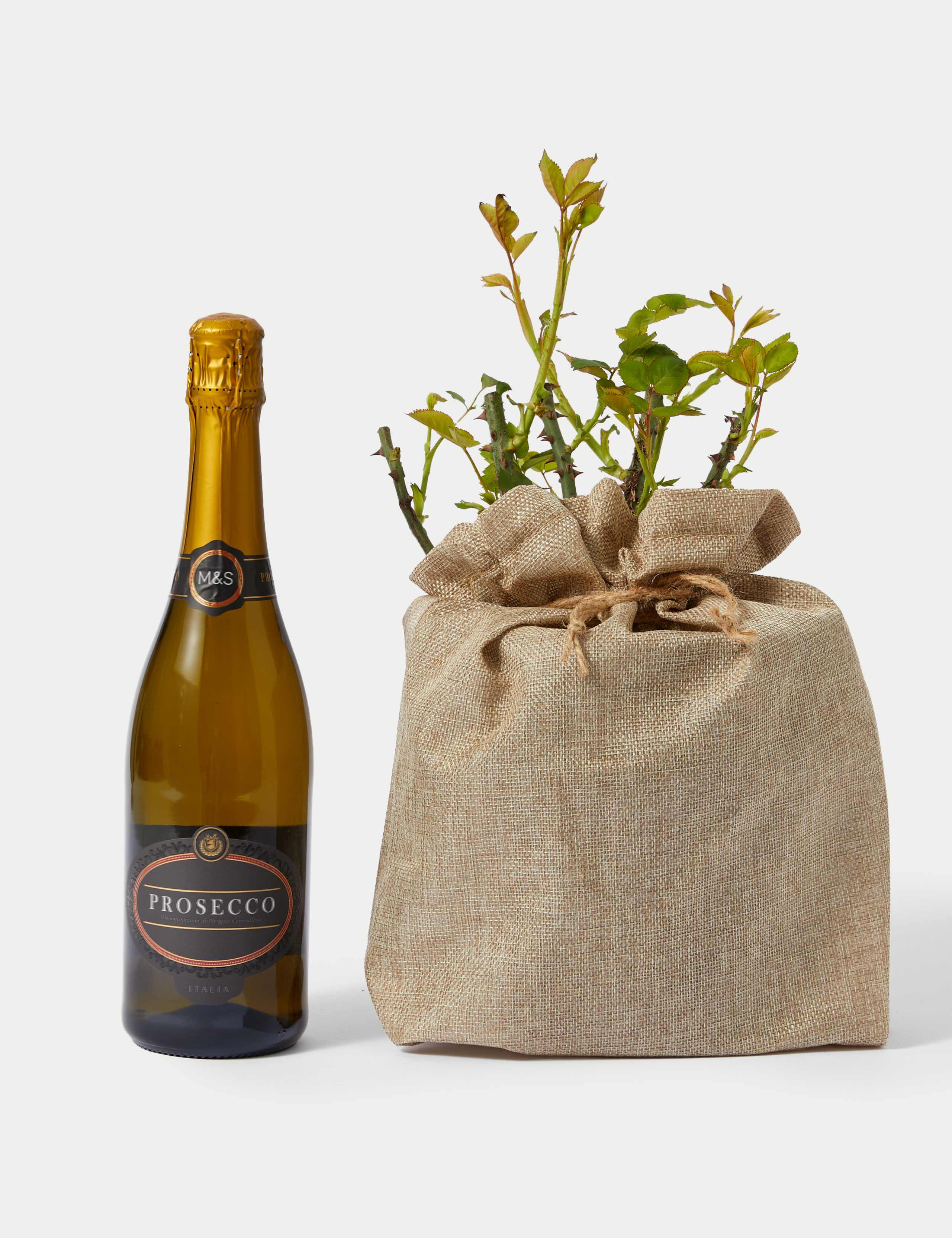 Celebration Rose & Prosecco Bundle 2 of 5