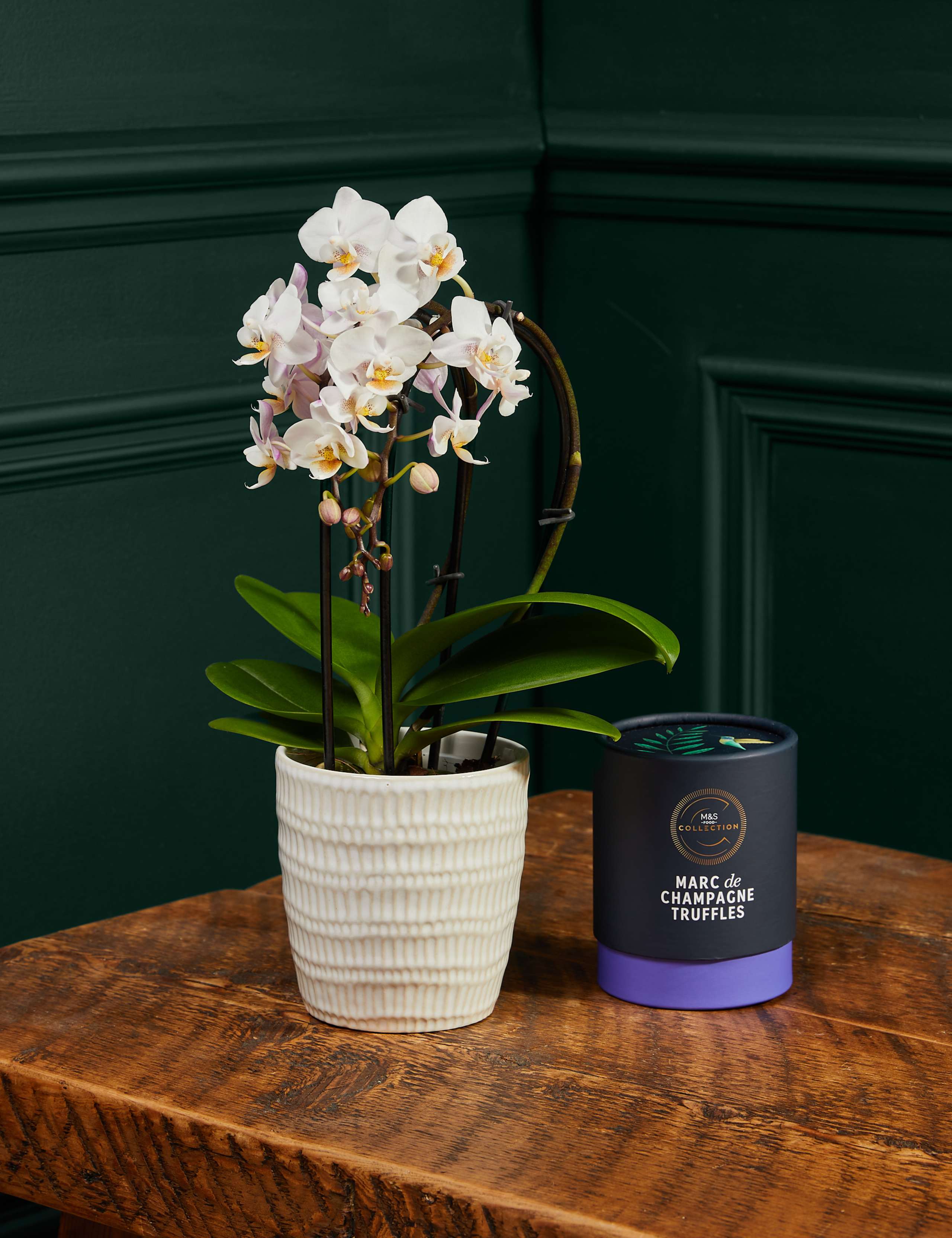 Miniature White Orchid with Marc de Champagne Truffles 1 of 5