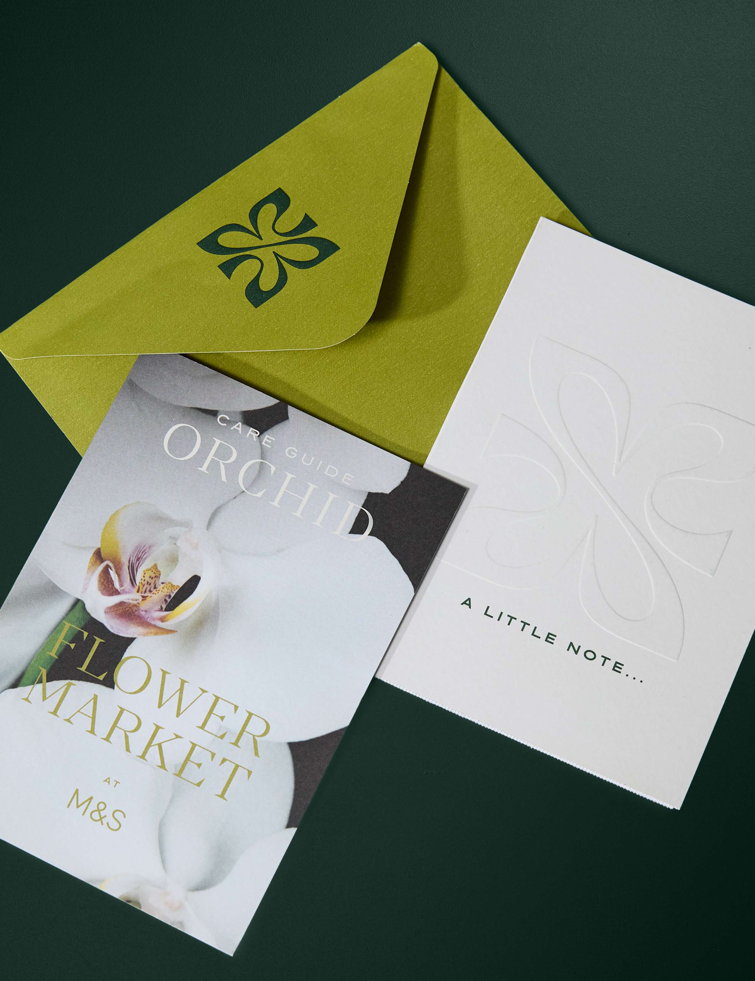 Miniature White Orchid with Marc de Champagne Truffles 4 of 5