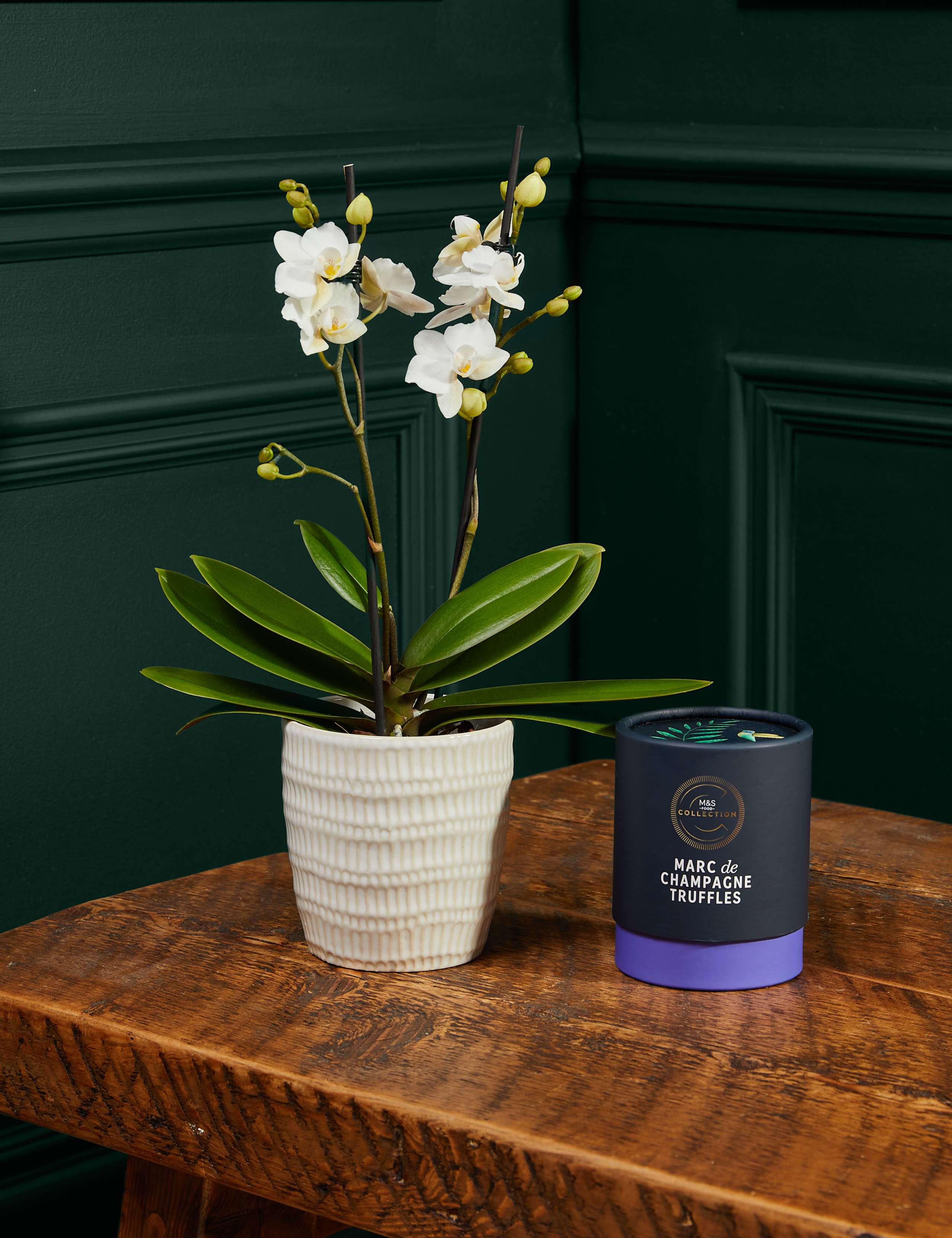 Miniature White Orchid with Marc de Champagne Truffles 1 of 5