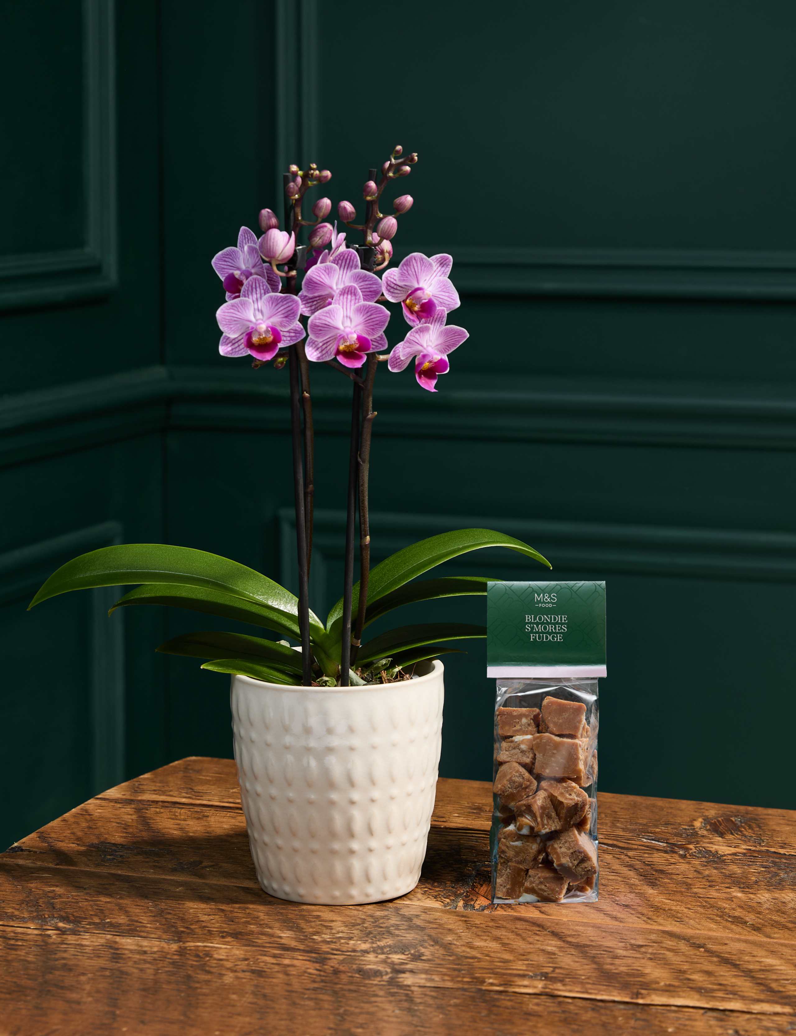 Pink Orchid with Blondie S'Mores Fudge 1 of 6