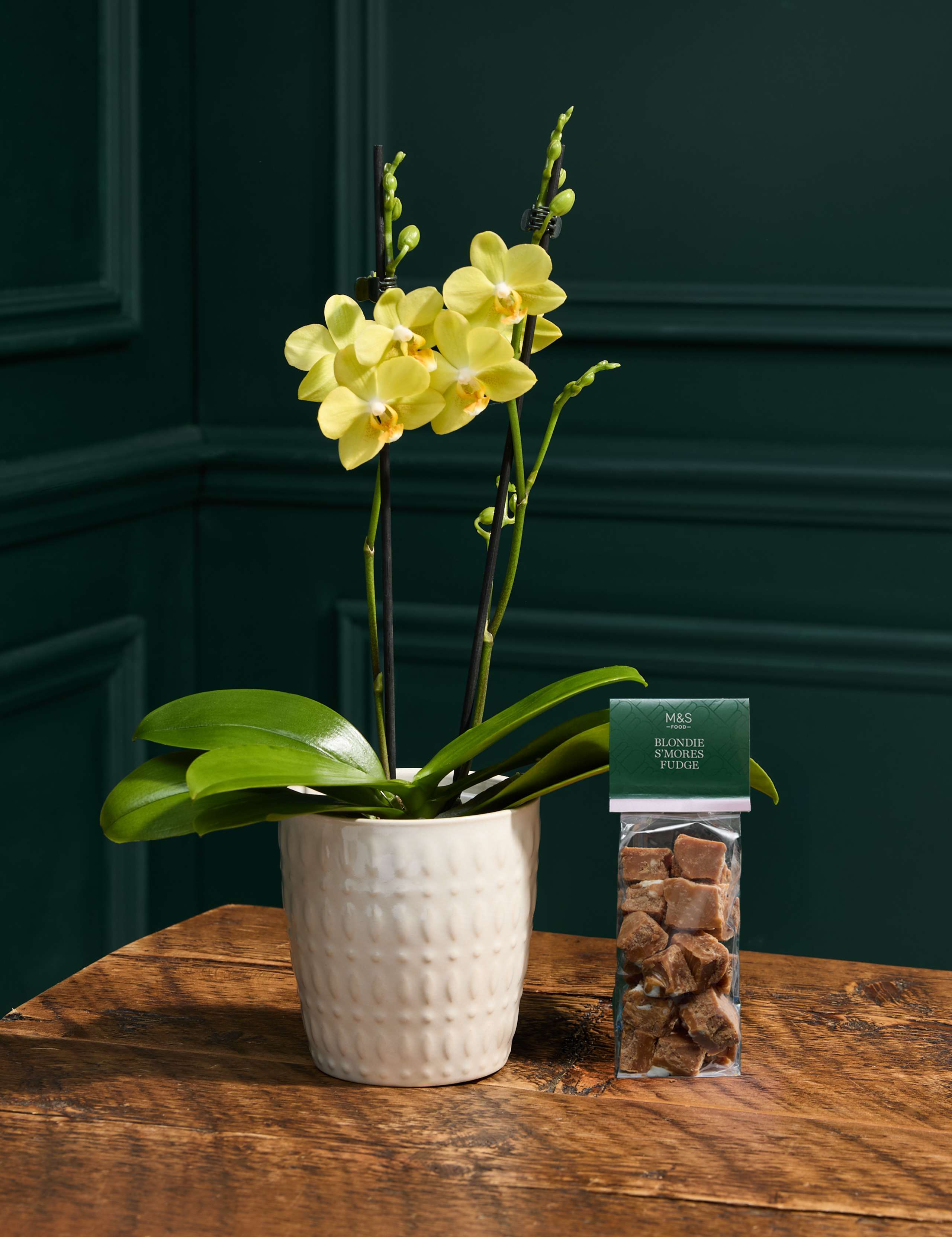 Yellow Orchid with Blondie S'Mores Fudge 1 of 6