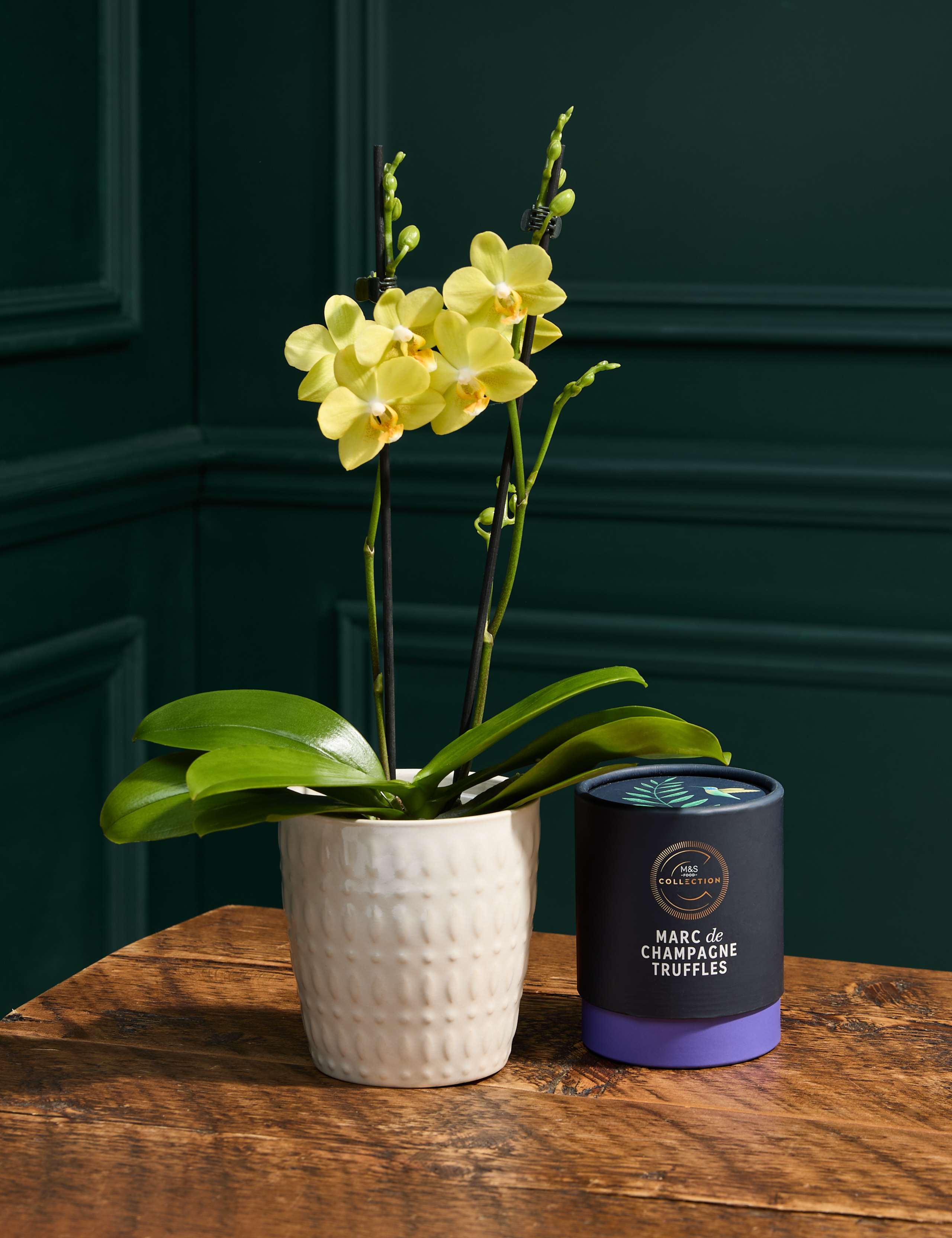 Yellow Orchid with Marc De Champagne Chocolates 1 of 6