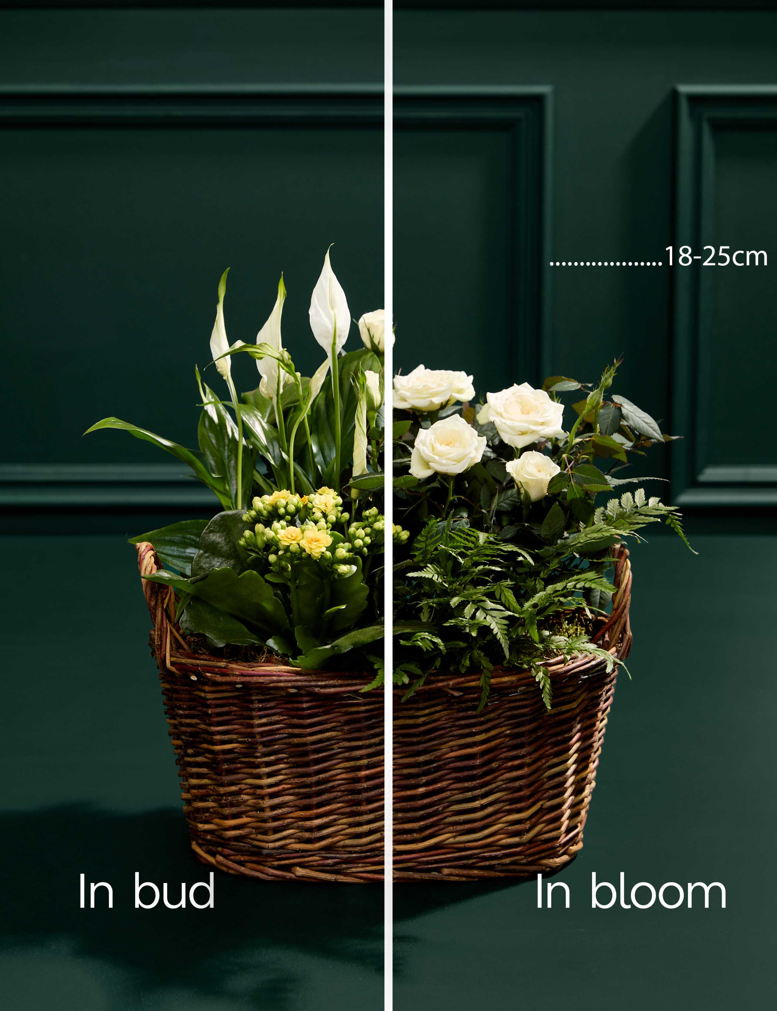 Autumn Flowering Basket with Belgian Chocolates 3 of 3