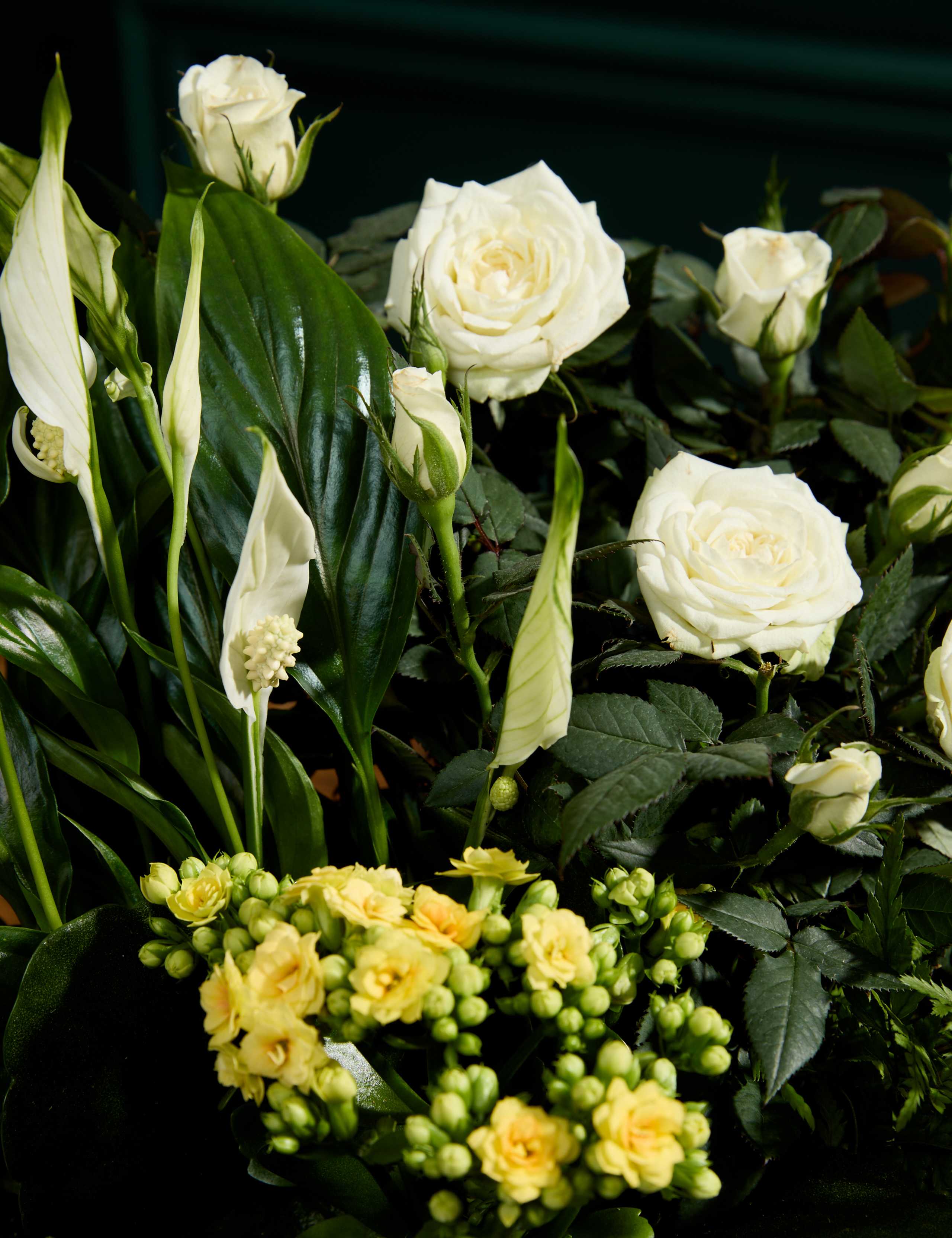 Flowering Basket with Belgian Chocolates 2 of 3