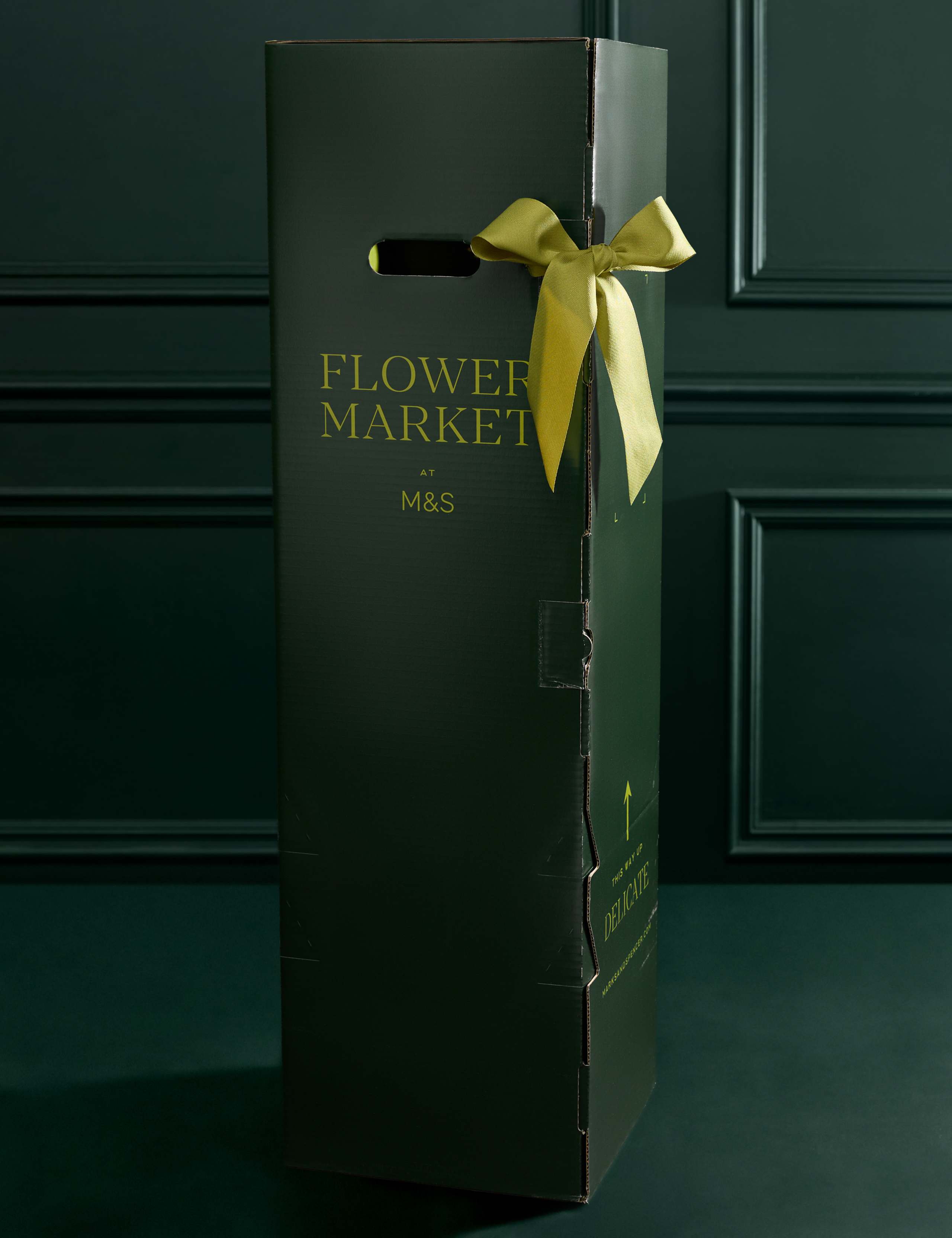 Large Yellow Phalaenopsis Orchid in Ceramic Pot 4 of 5