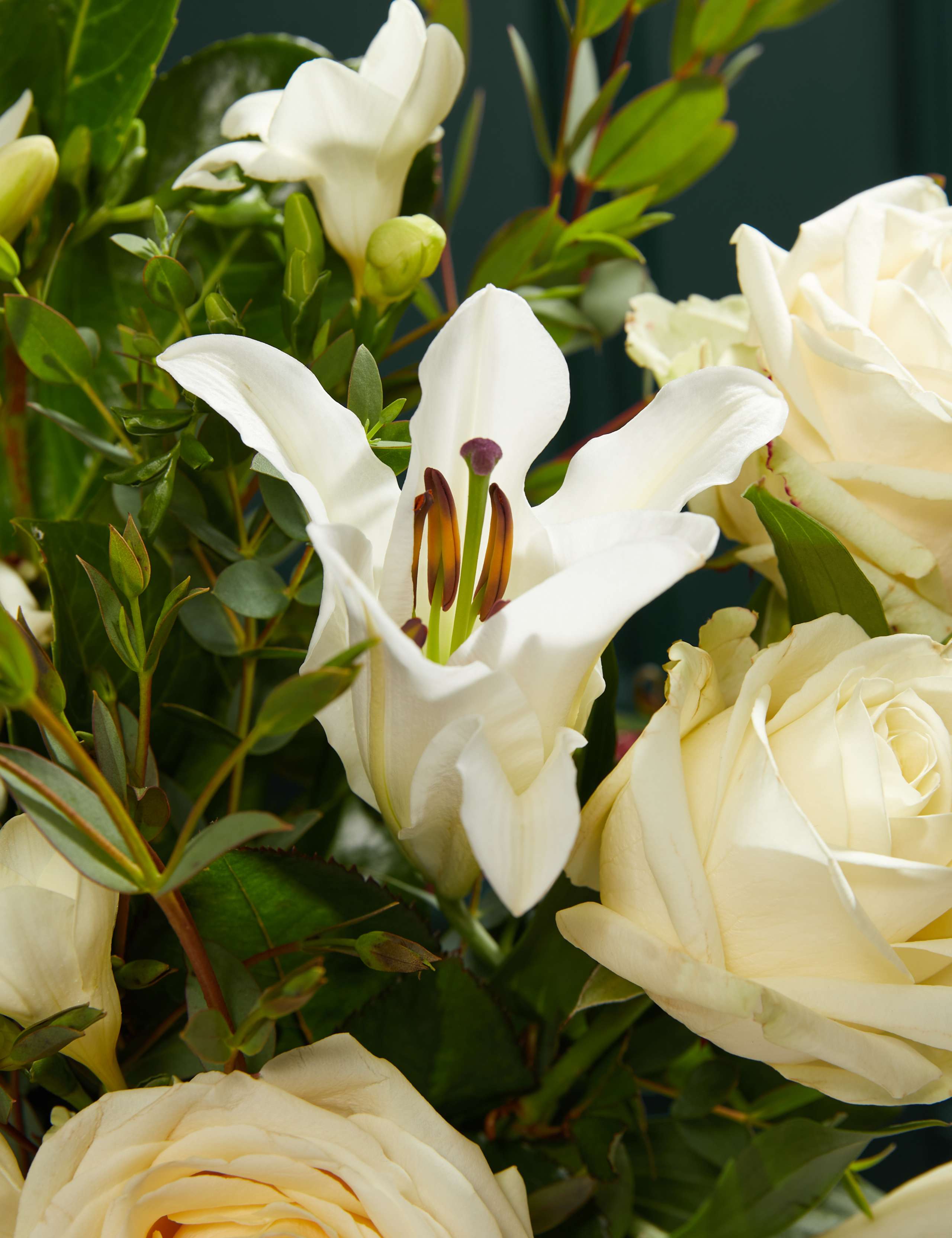 Dame Joan Collins Bouquet 4 of 6