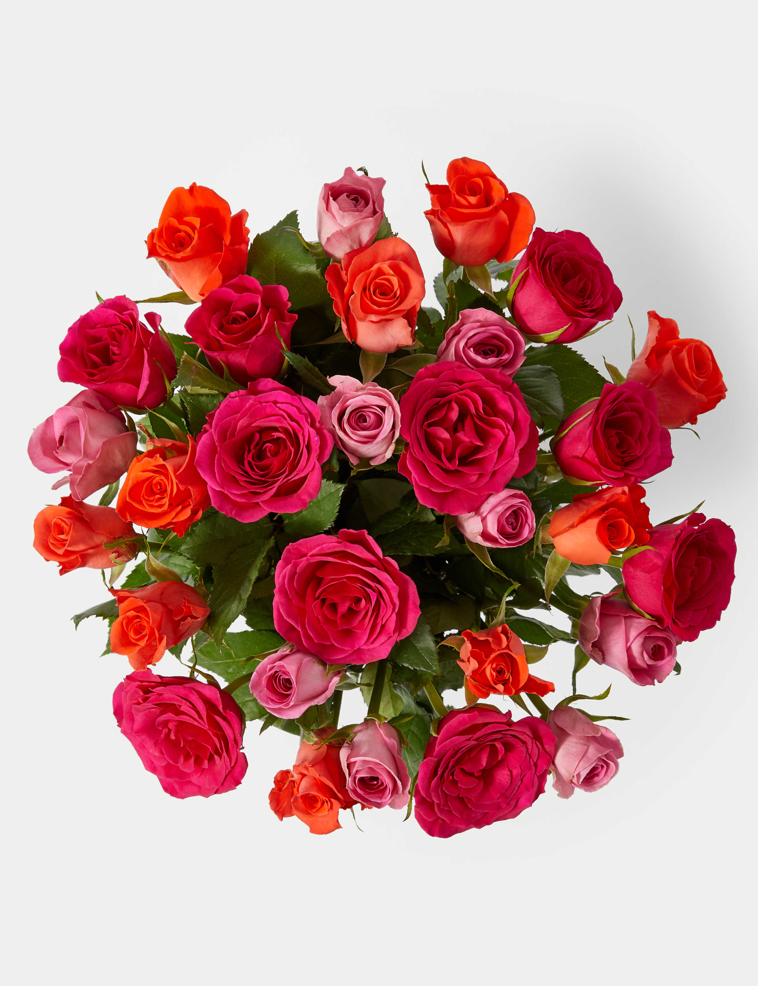 Radiant Rose Abundance With £25 Gift Card 2 of 6