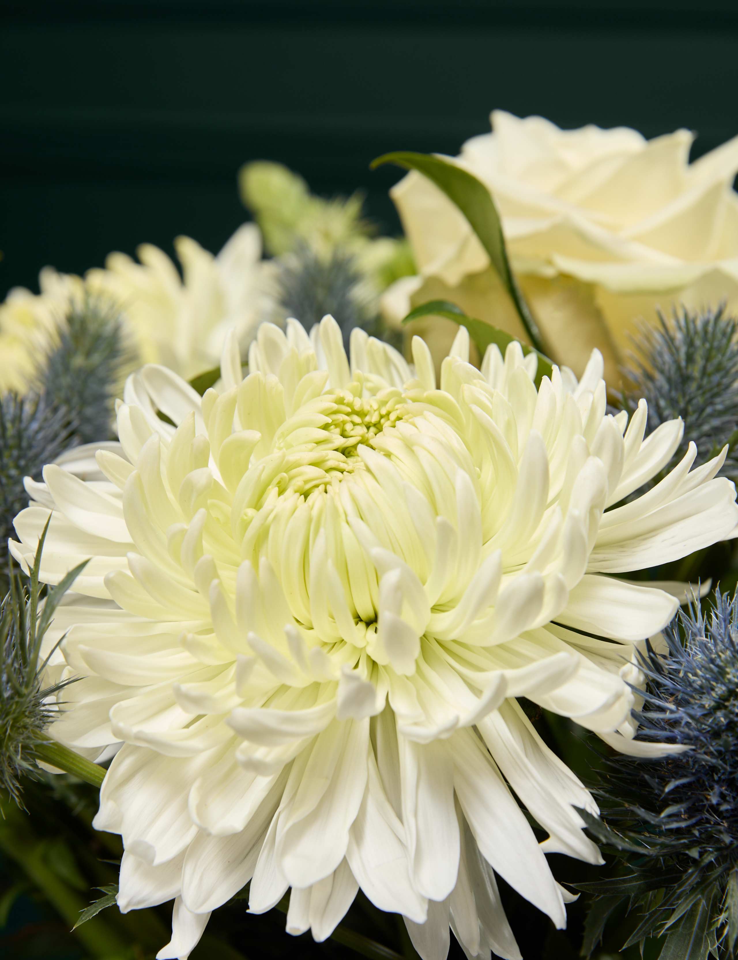 Rose & Thistle Bouquet with Swiss Chocolates 3 of 8