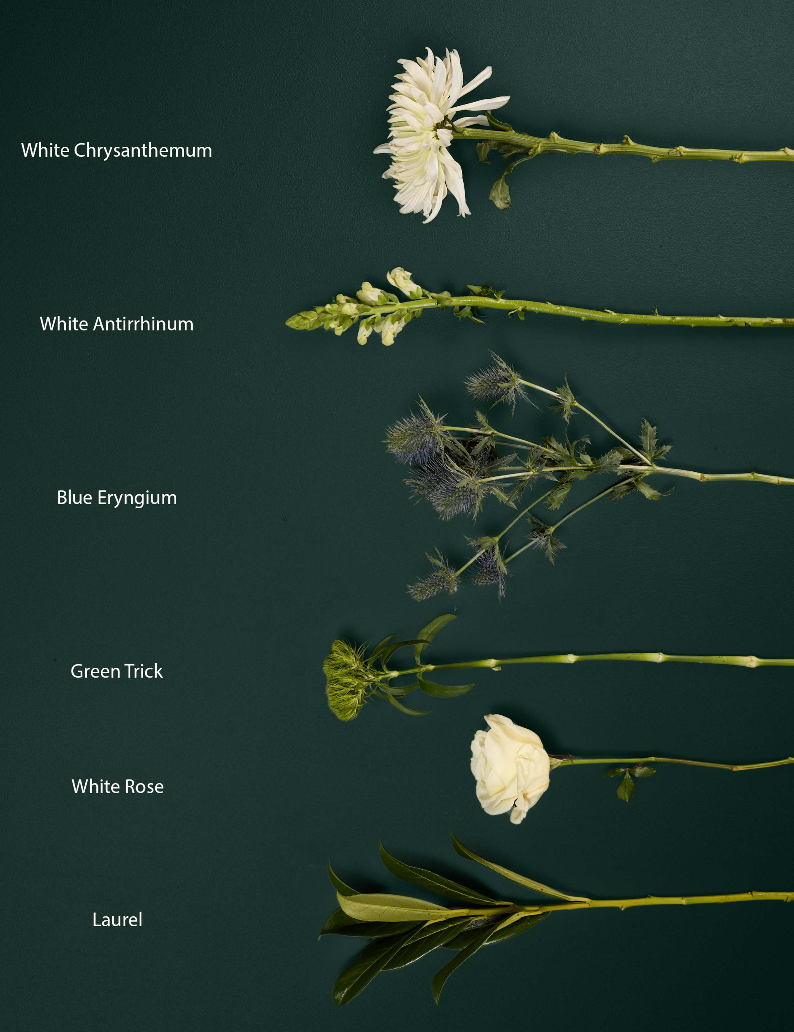 Rose & Thistle Bouquet with Swiss Chocolates 5 of 8