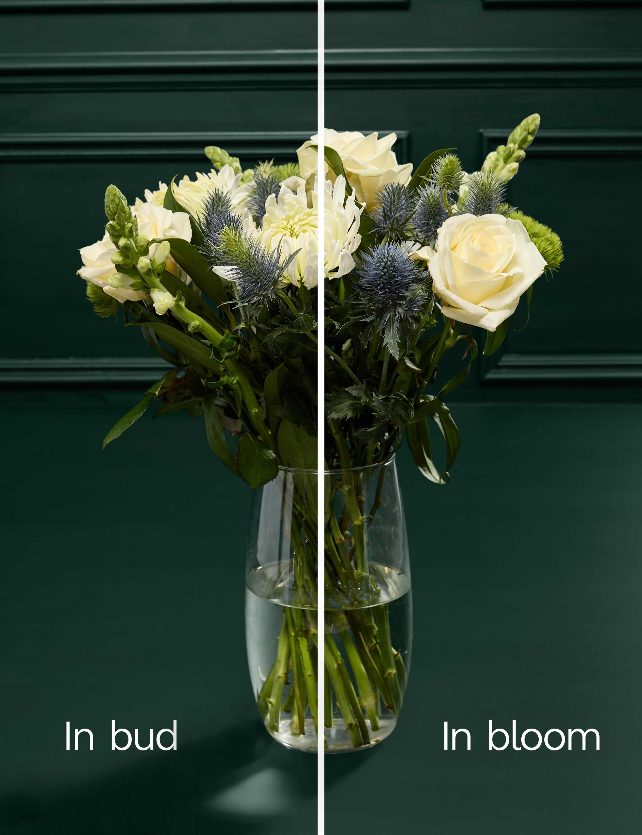 Rose & Thistle Bouquet with Belgian Chocolates 6 of 8