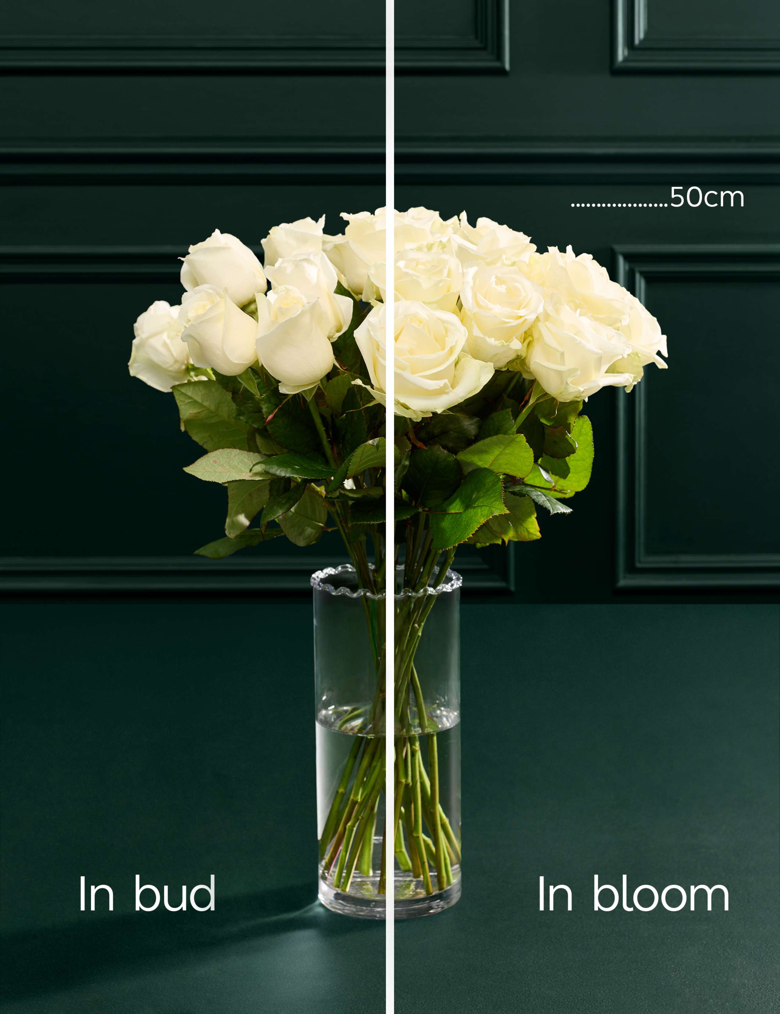 White Avalanche™ Rose Bouquet 4 of 6