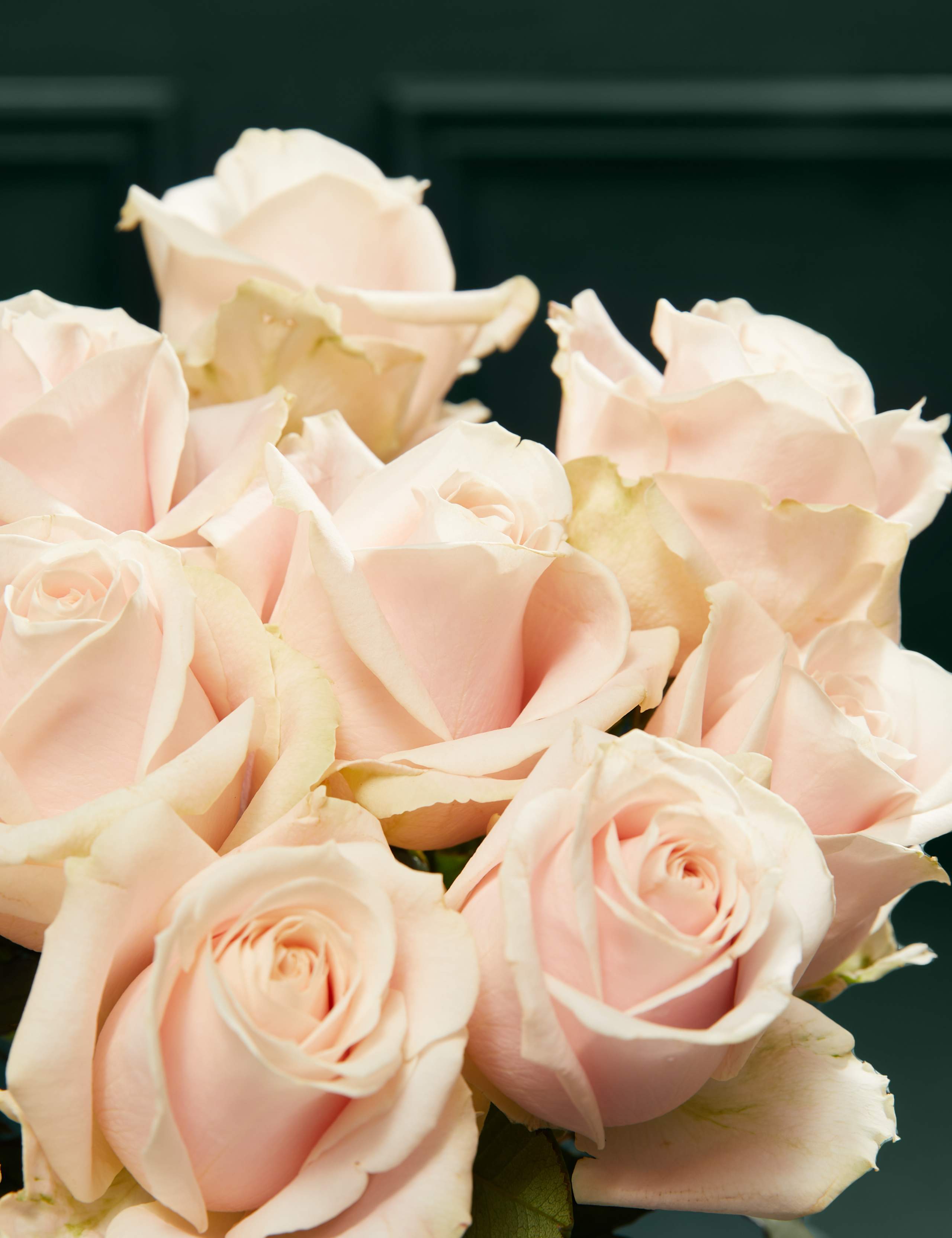 Pink Sweet Avalanche™ Rose Bouquet 3 of 5