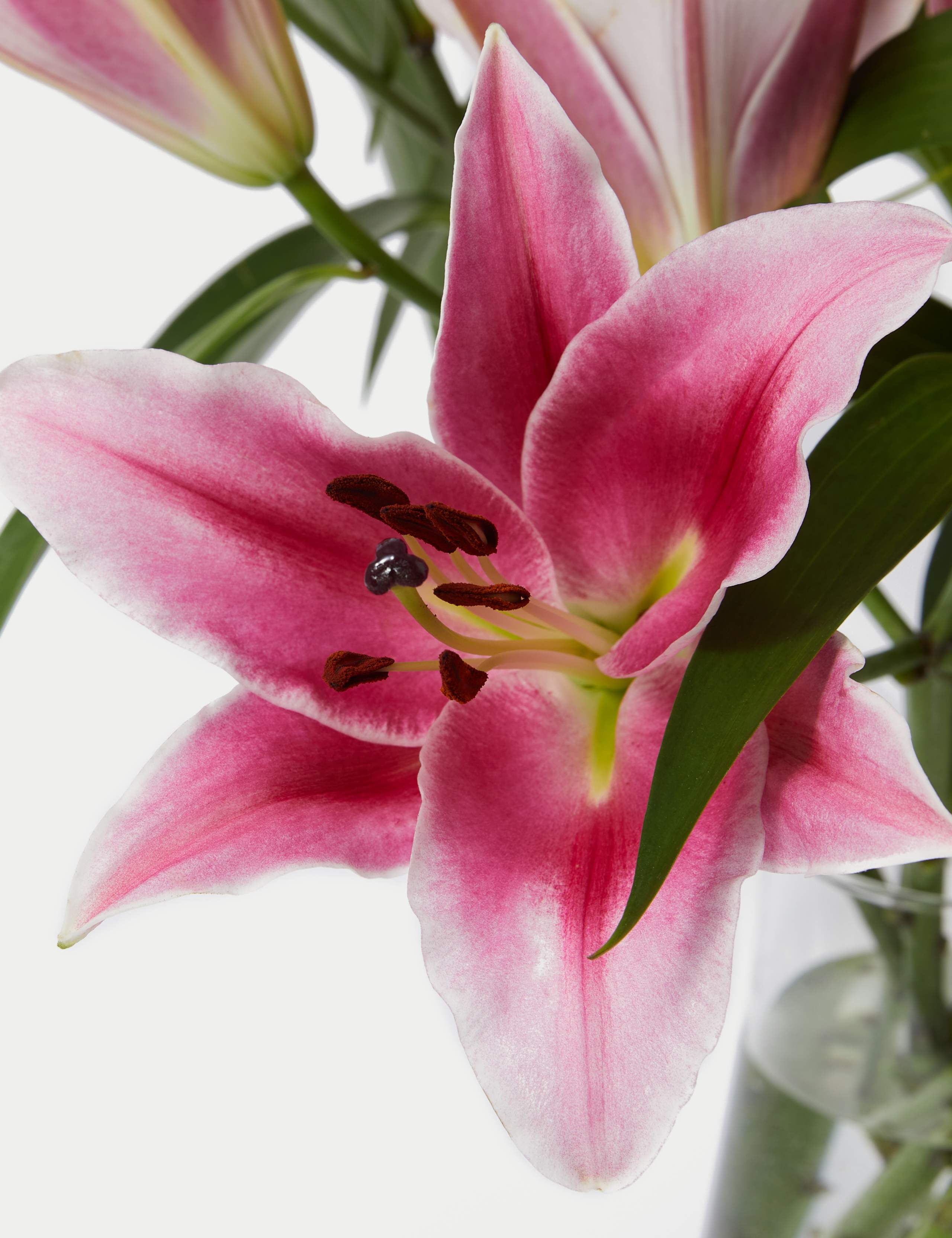 British Pink Lily Abundance Bouquet 4 of 7