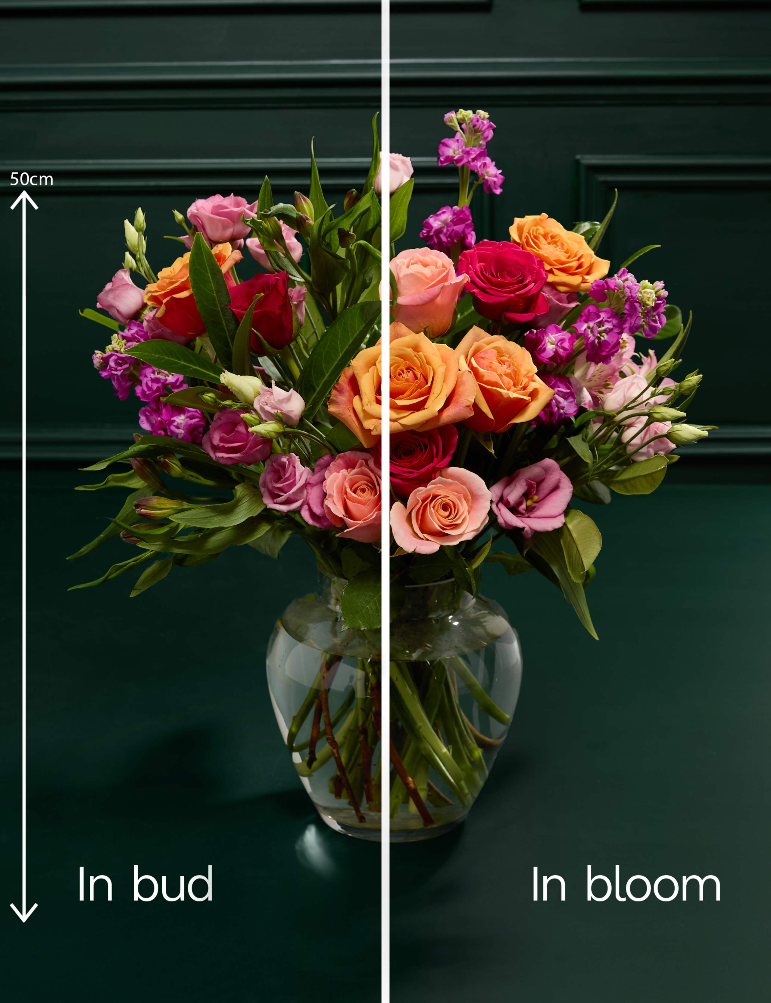 Rose & Lisianthus Bright Bouquet with Prosecco & Chocolate Florentines 5 of 7