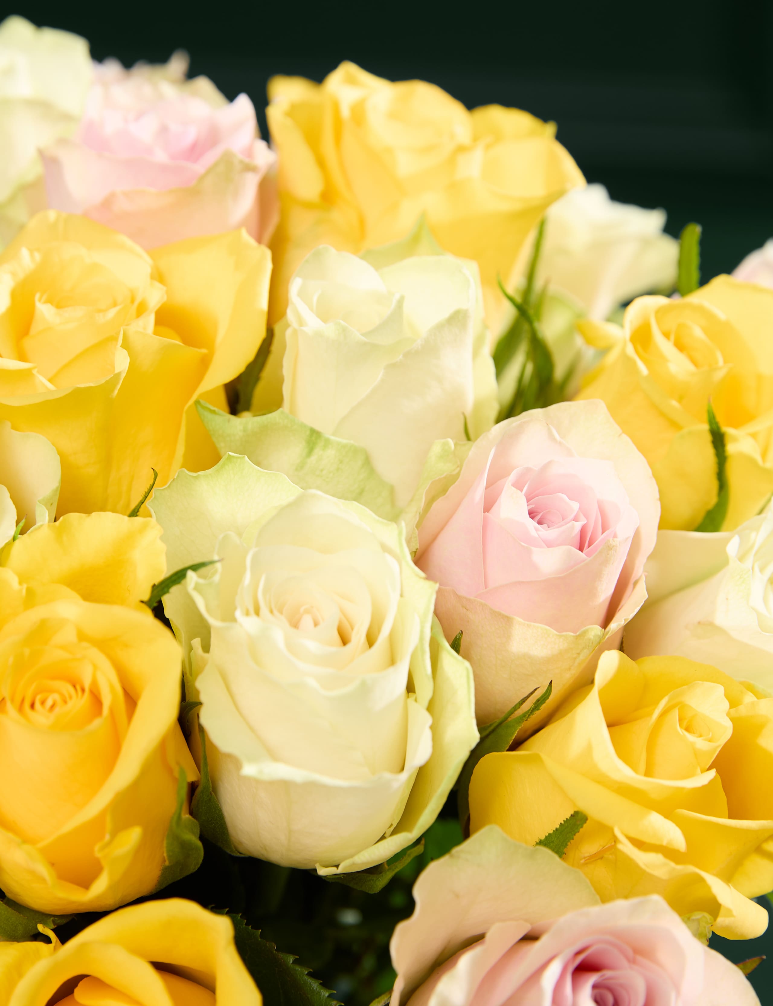 New Baby Yellow Rose Bouquet with Baby Set (0-3 months) 3 of 7