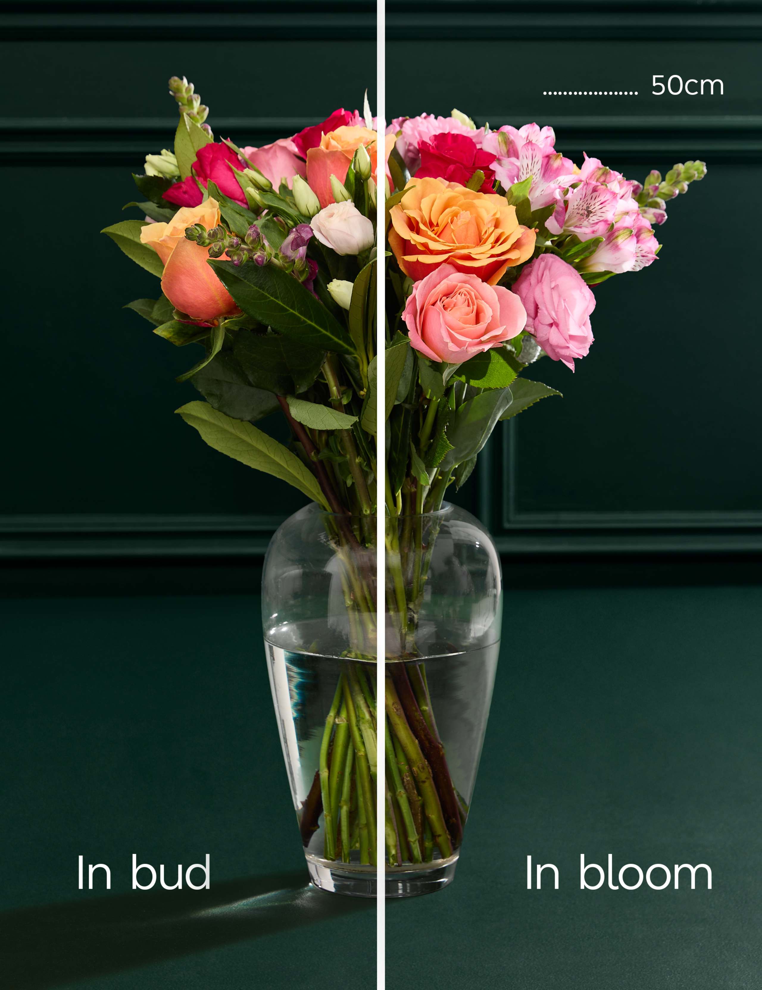 New Baby Rose & Lisianthus Bouquet with Baby Set (0-3 months) 5 of 7