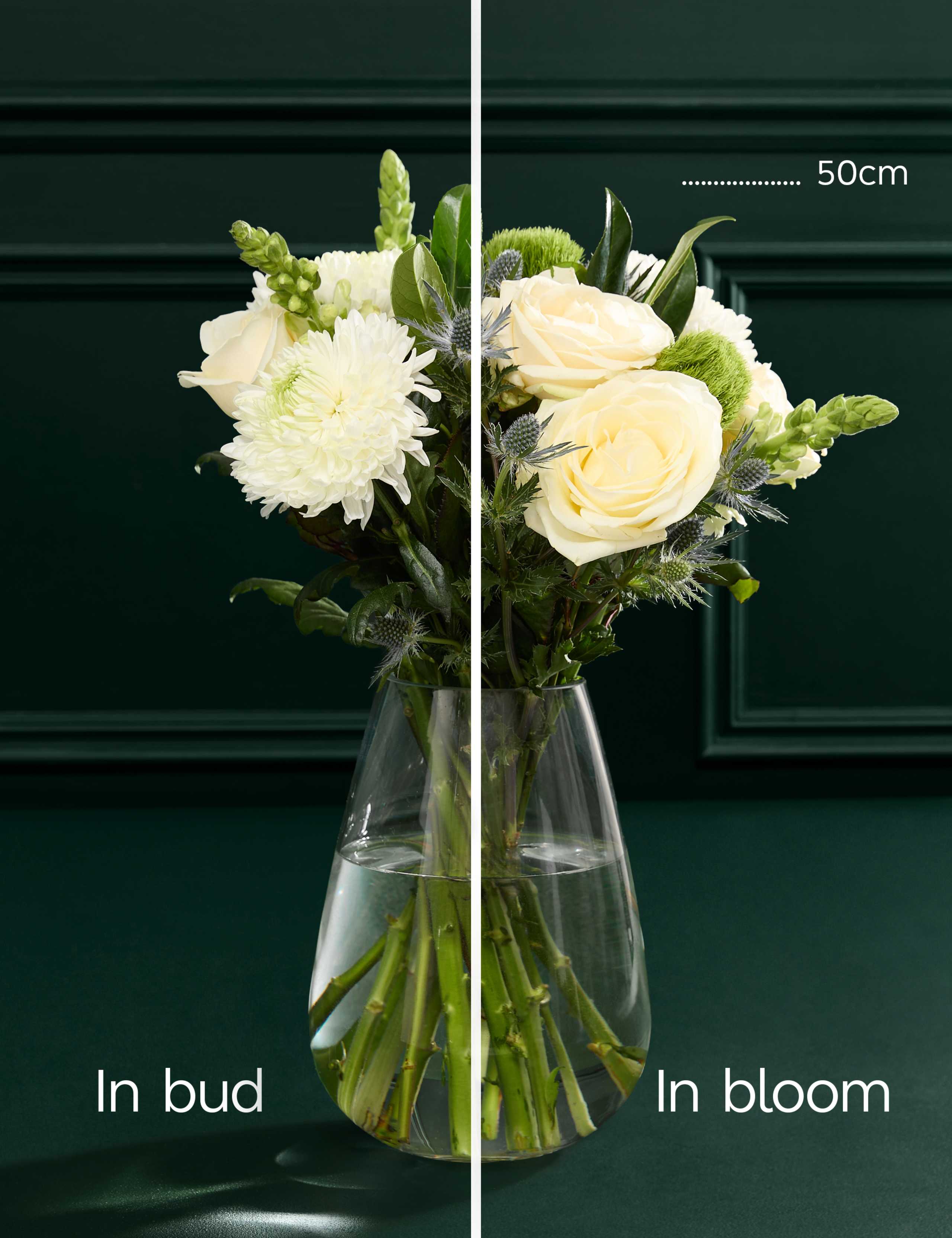 New Baby Rose & Thistle Bouquet with Baby Set (0-3 months) 5 of 7