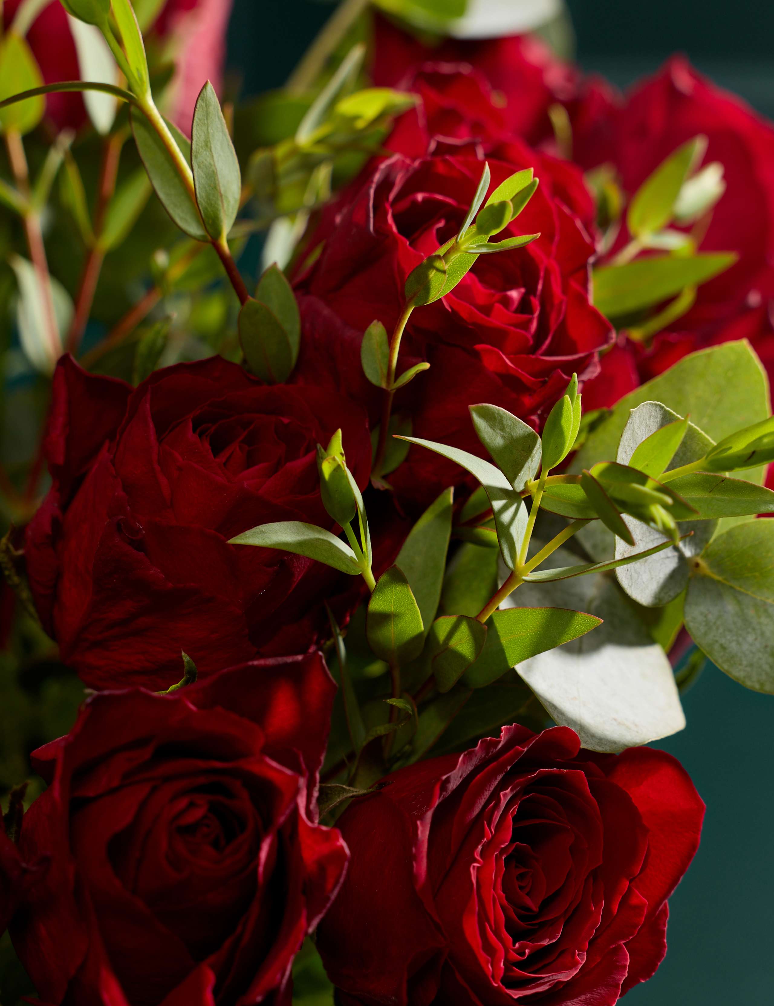Festive Red Rose & Eucalyptus Bouquet with Vintage Champagne 3 of 5
