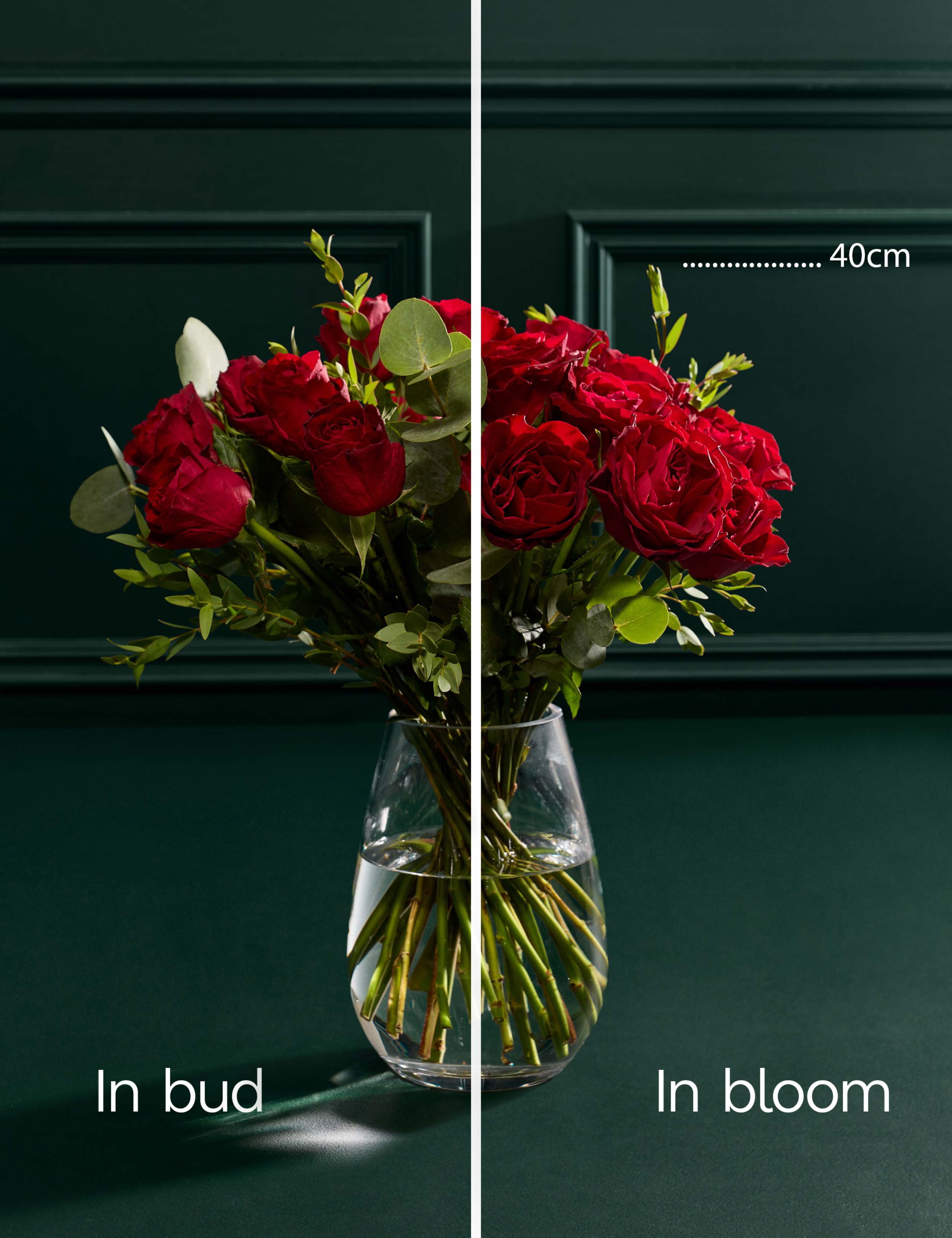 Festive Red Rose & Eucalyptus Bouquet with Vintage Champagne 5 of 5