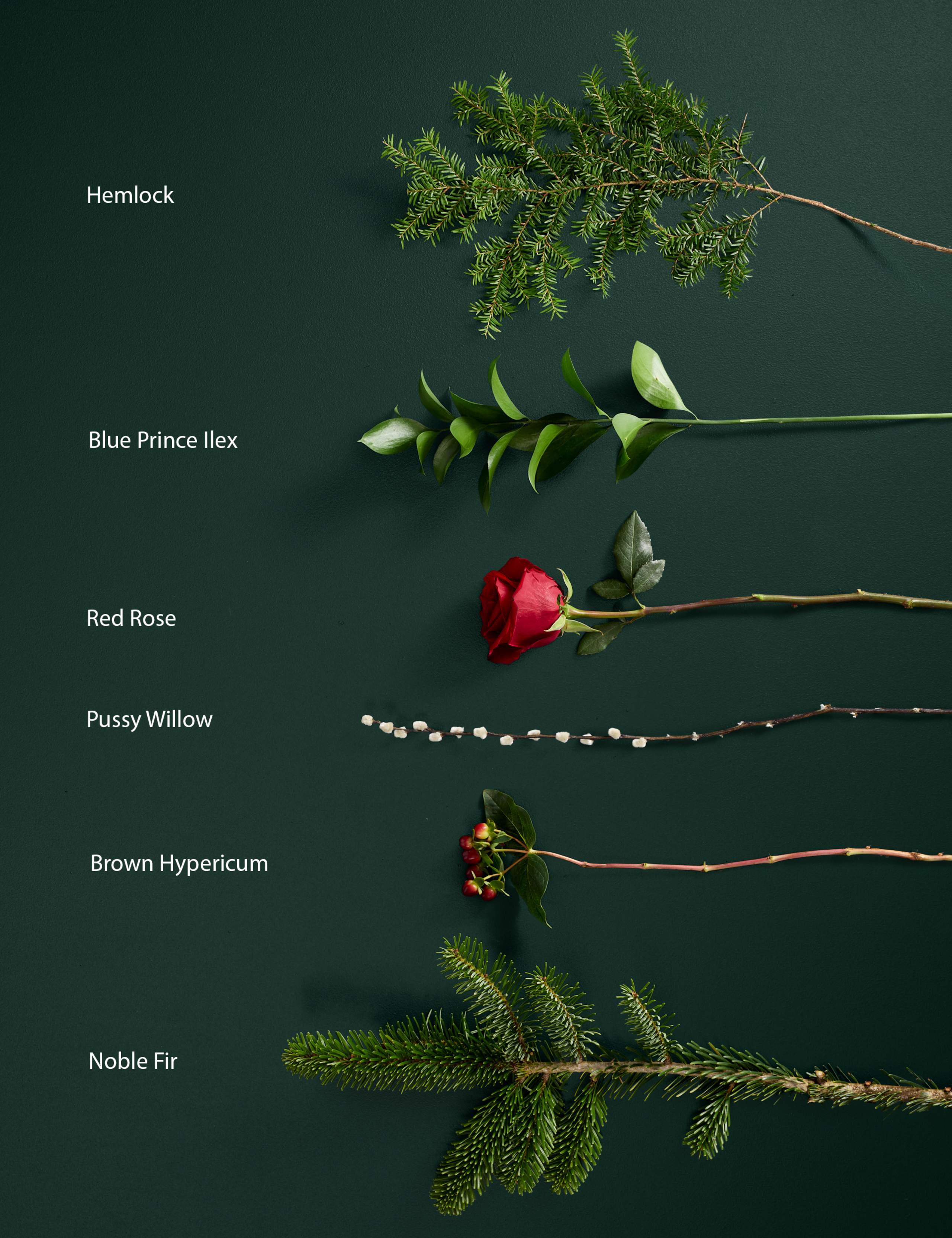 Festive Red Rose Bouquet with Vintage Champagne, Pistachio Gnomes & Candle 6 of 9