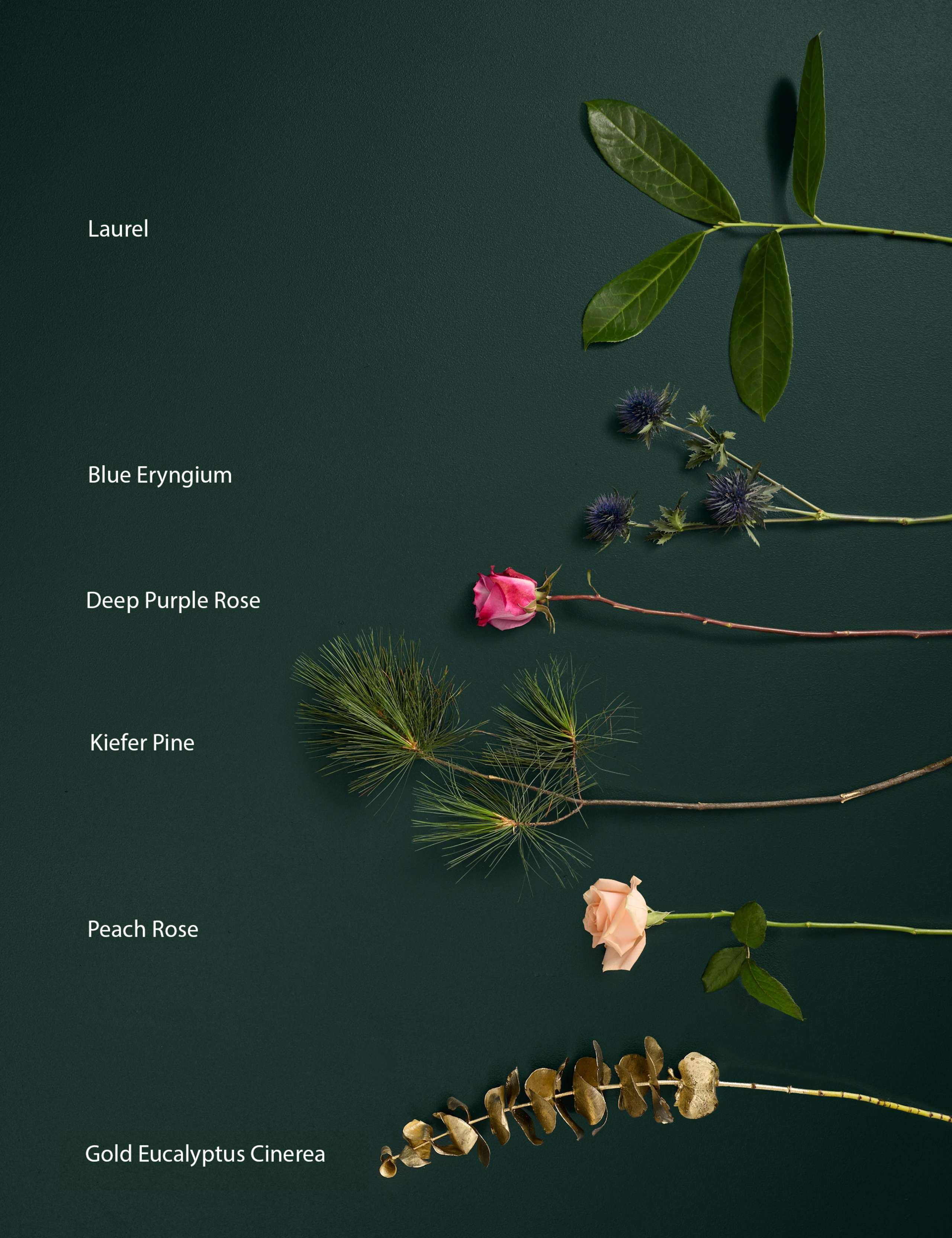 Festive Pearl Avalanche™ Rose & Kiefer Pine Bouquet 4 of 6