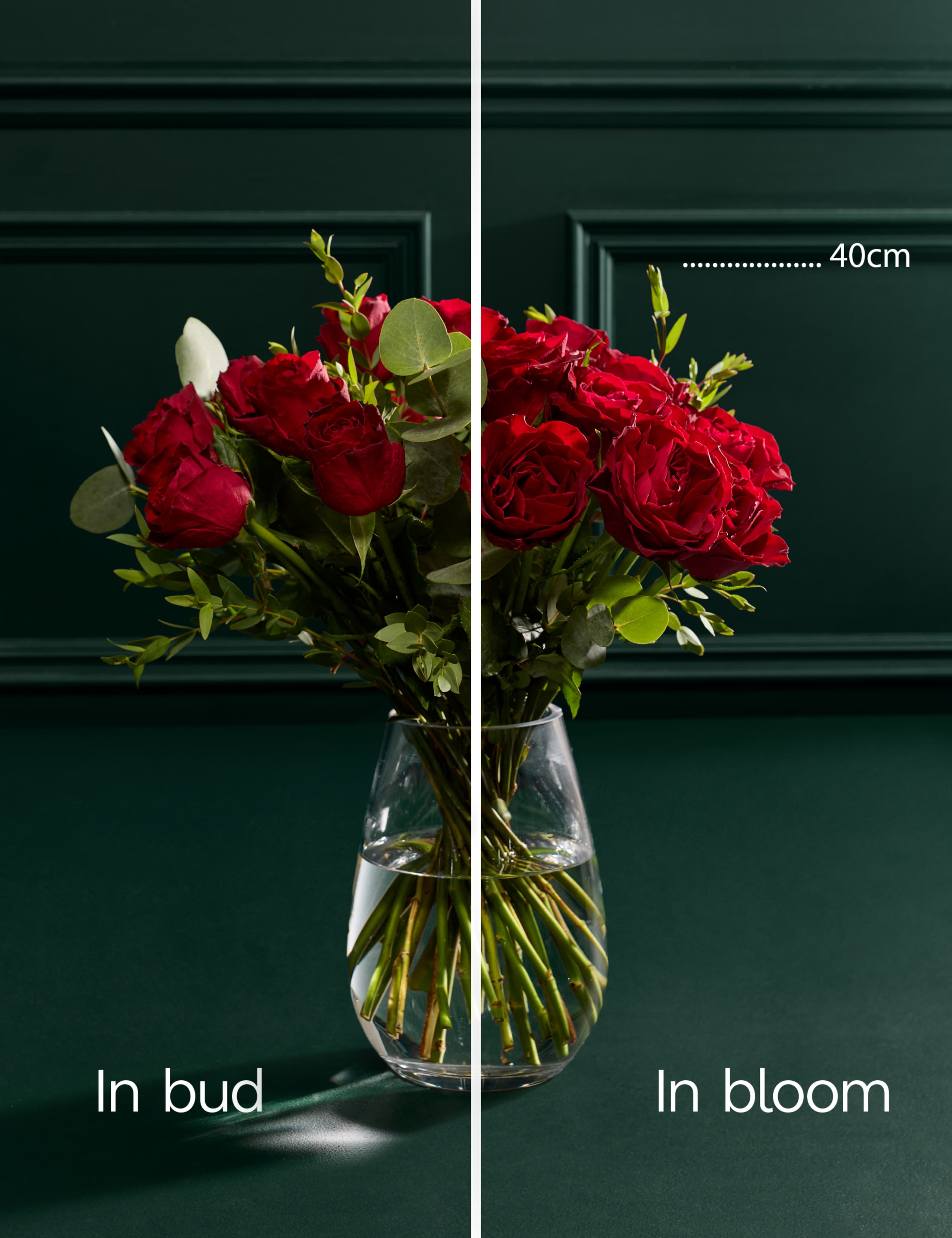 Festive Red Rose & Eucalyptus Bouquet 5 of 5