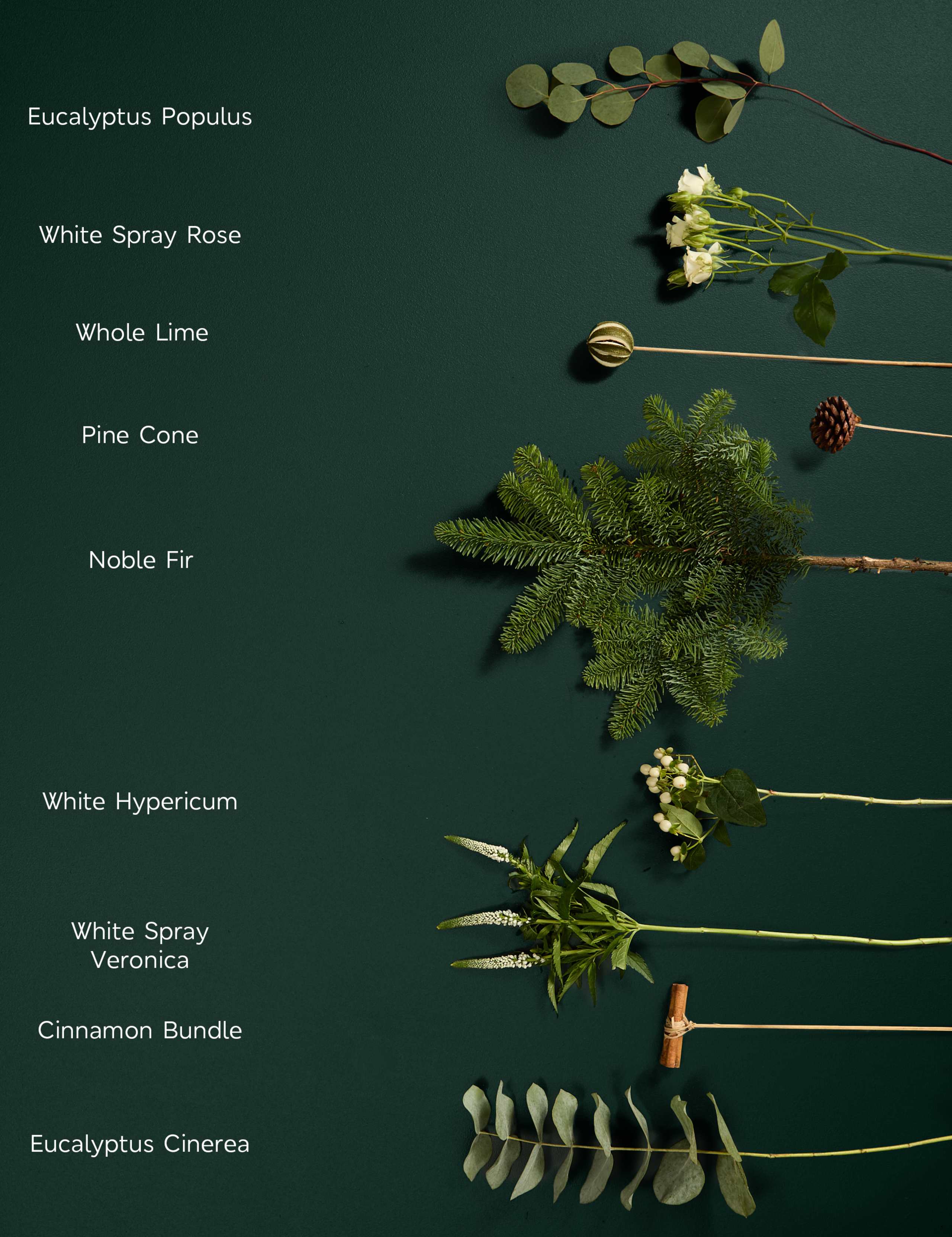 Festive White Bouquet with 16 Acres Gin 5 of 5