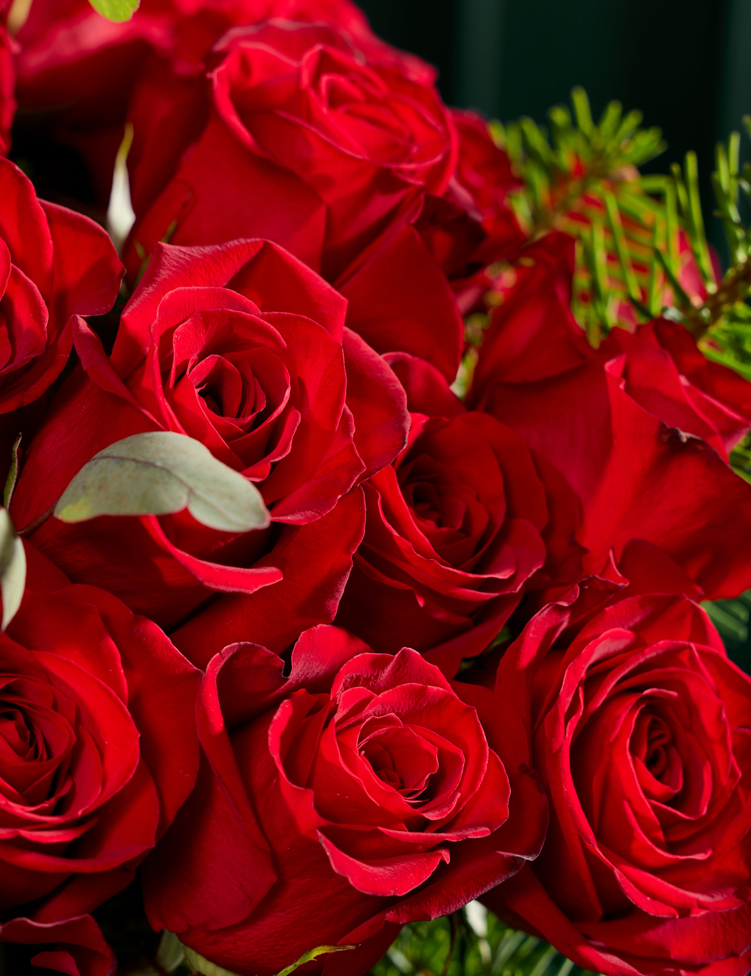 Luxury Red Rose Bouquet 3 of 6