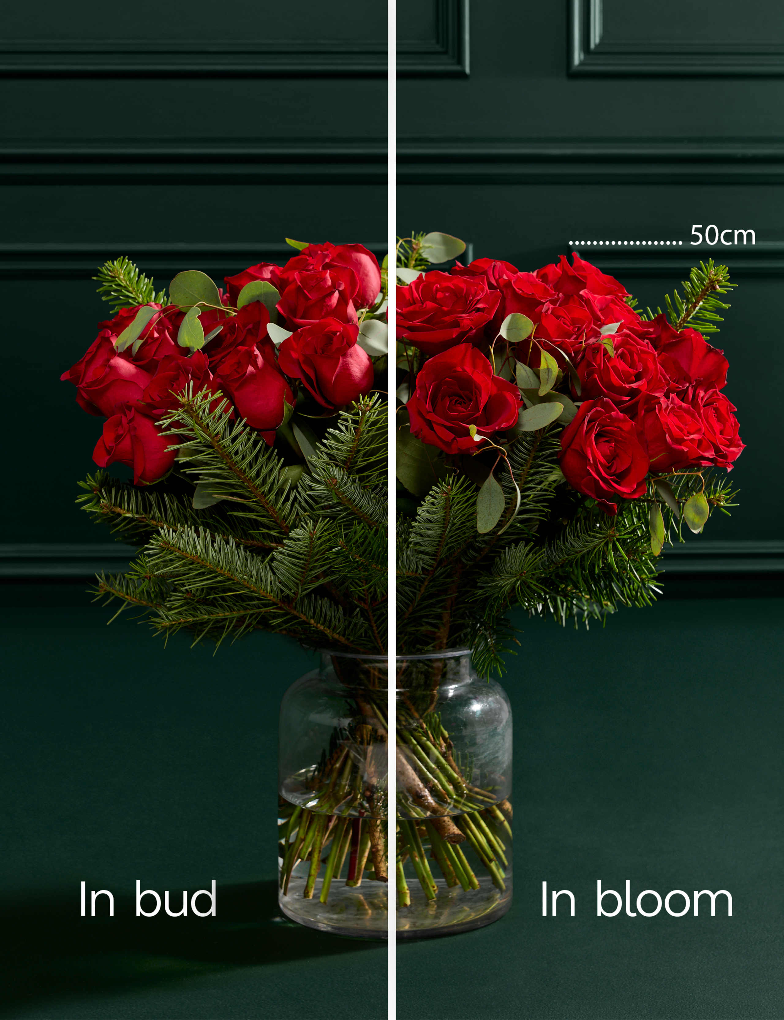 Luxury Red Rose Bouquet 4 of 6