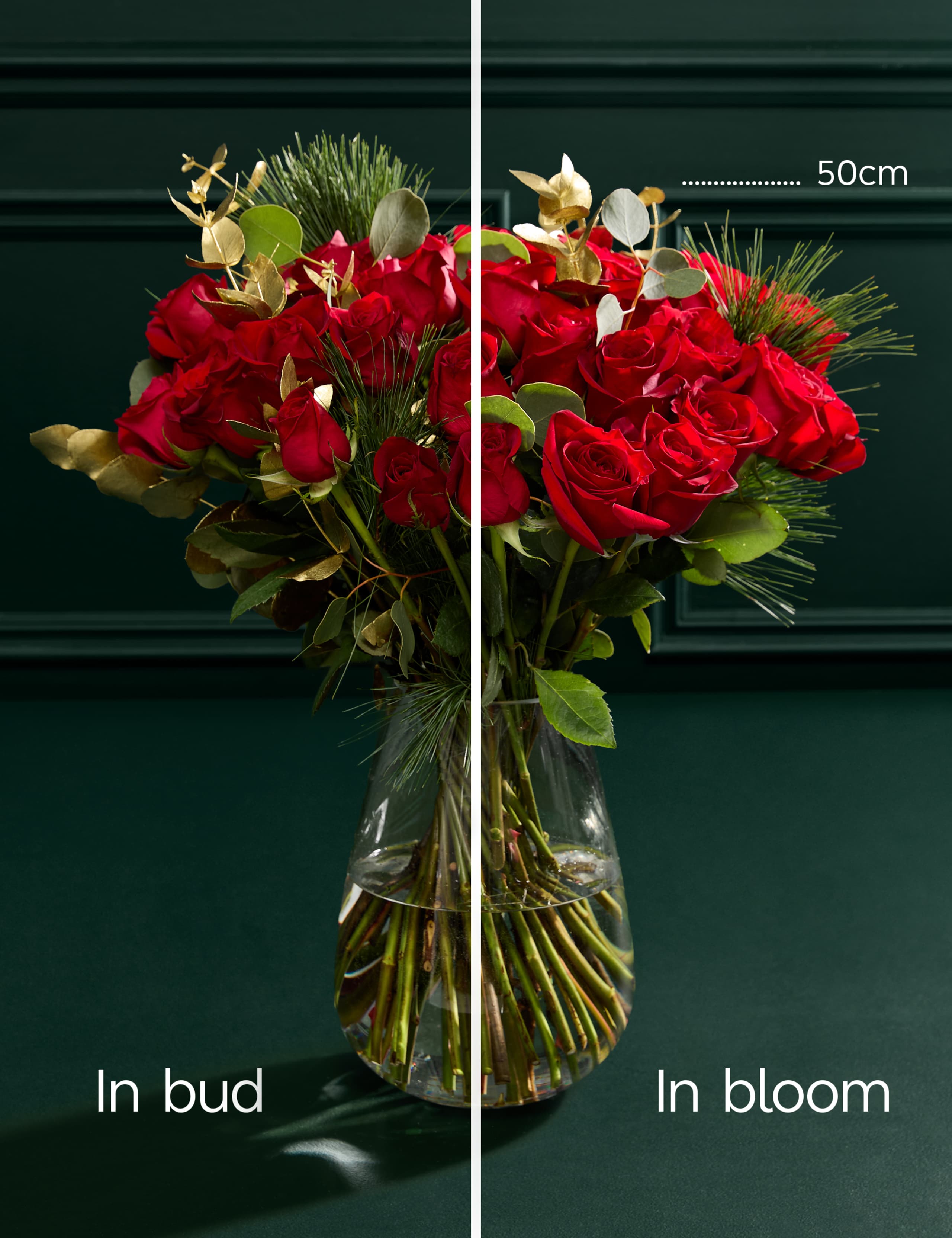 Luxury Red Rose Bouquet 6 of 9