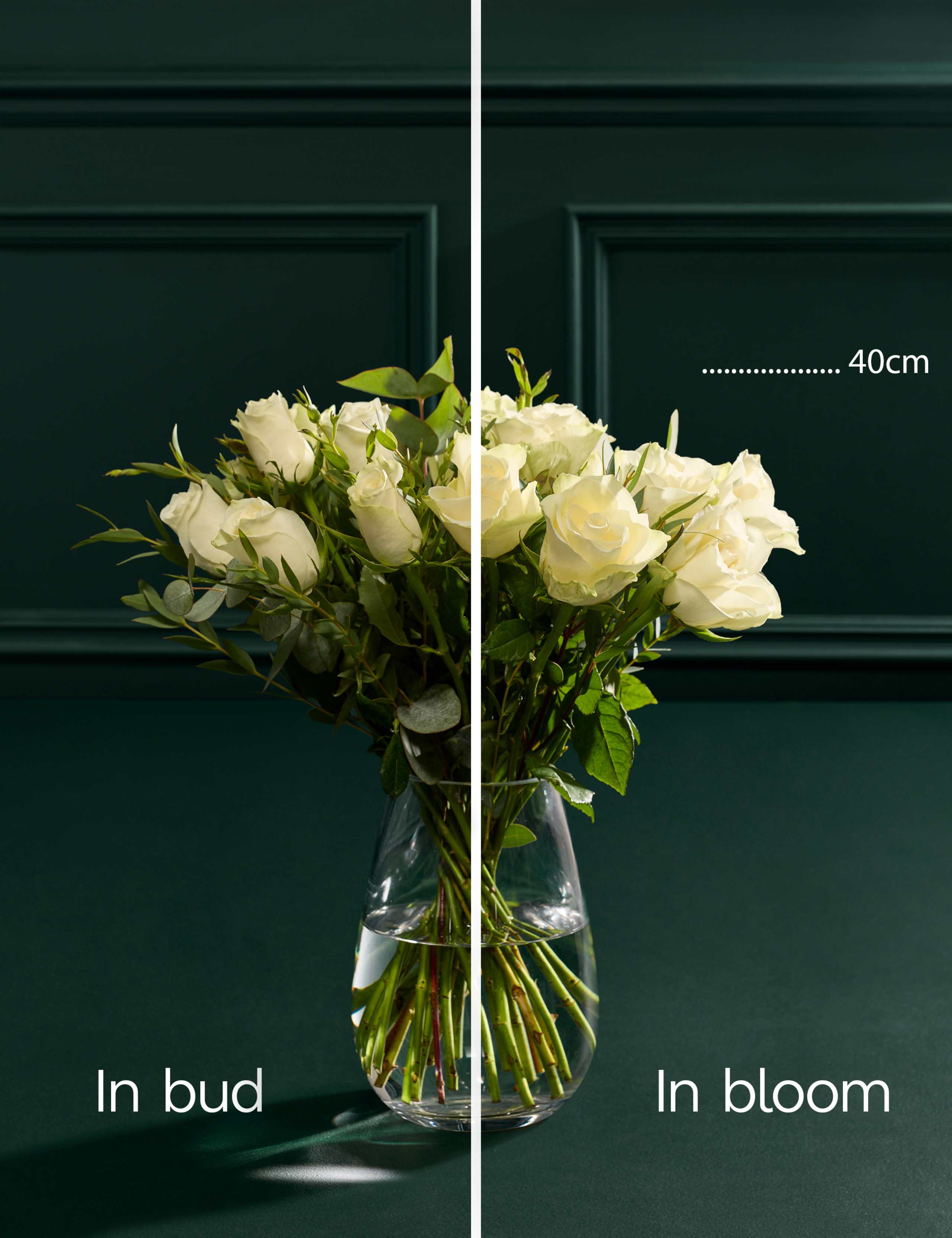 Festive White Rose & Eucalyptus Bouquet 5 of 6