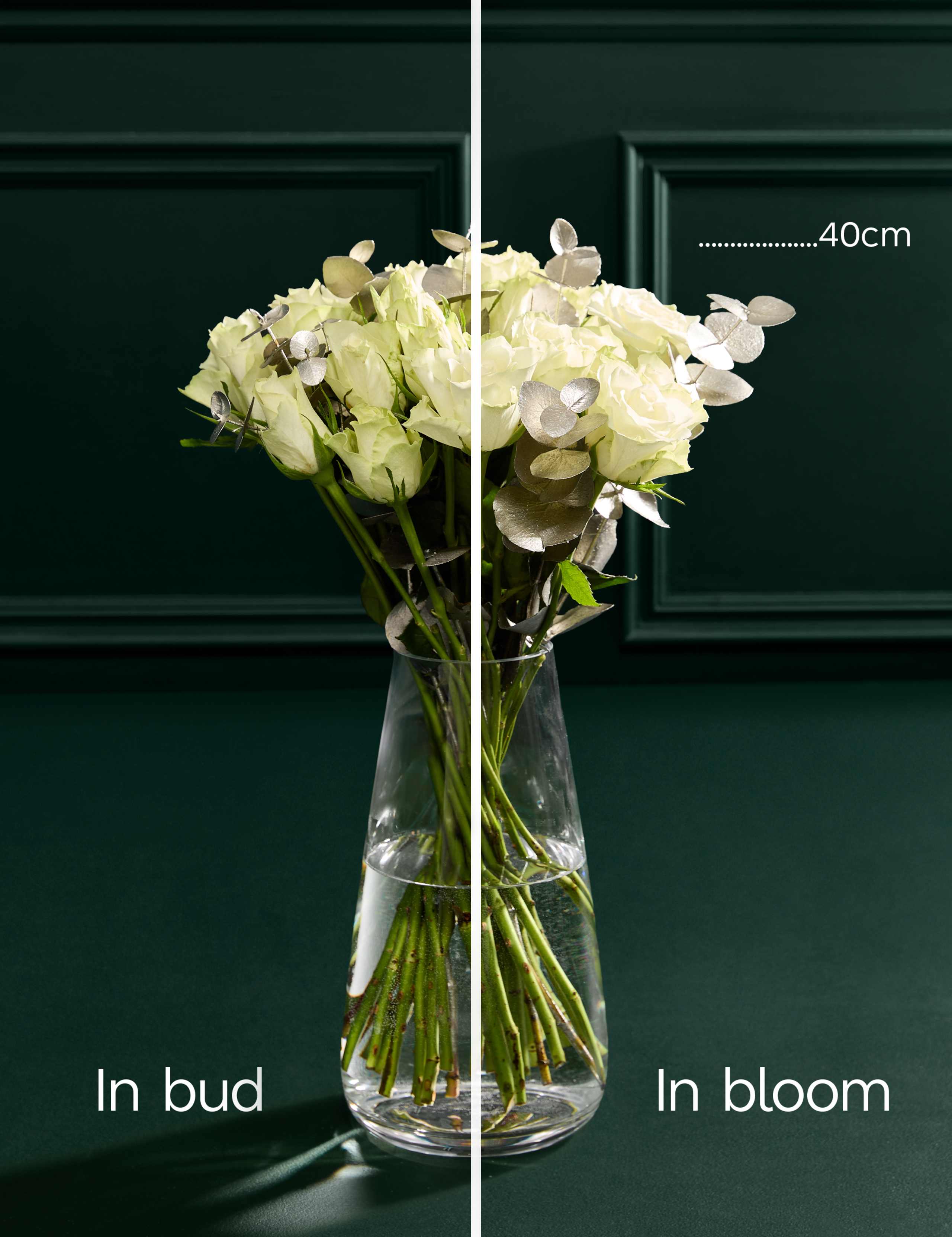 Festive White Rose & Eucalyptus Bouquet 6 of 8