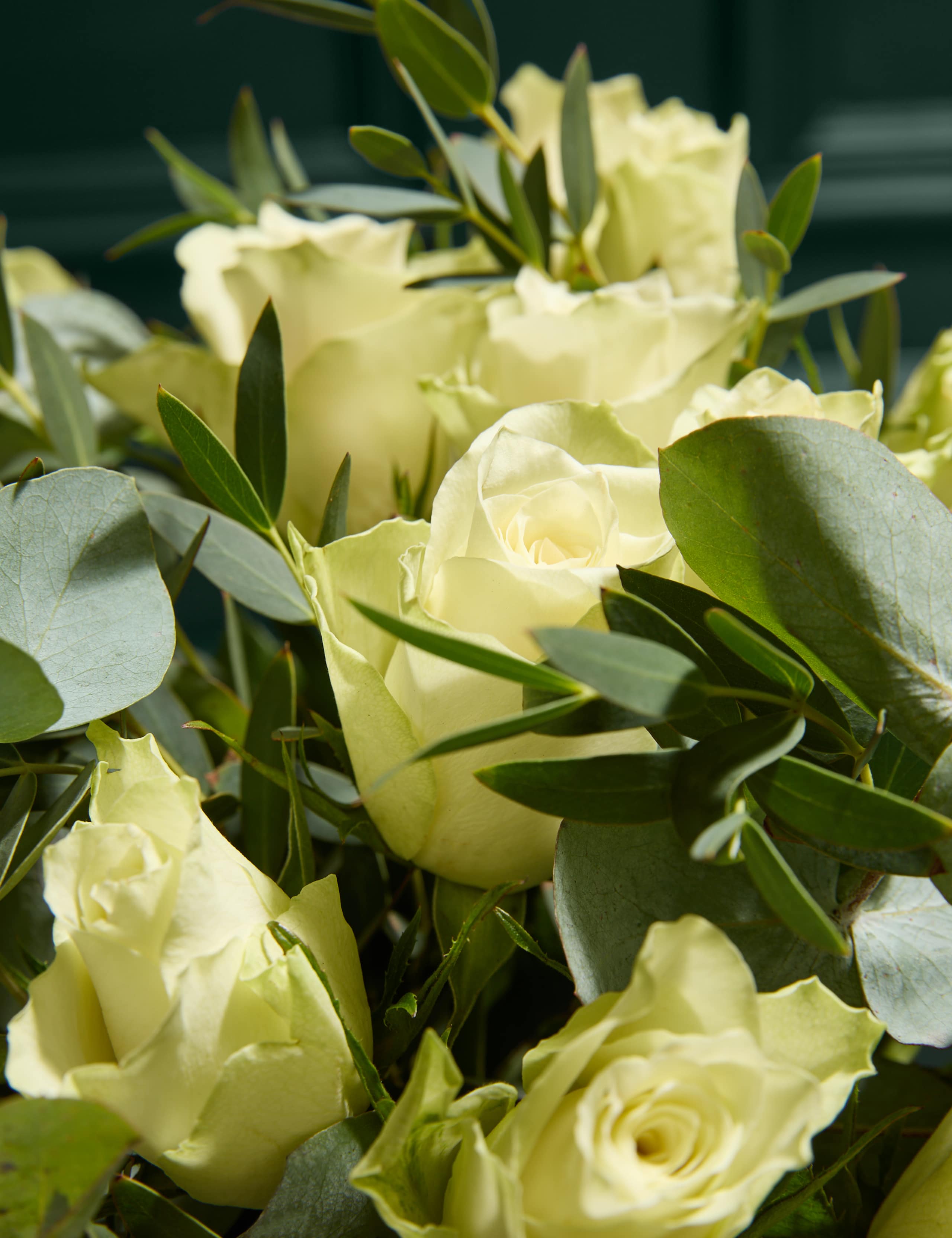 Festive White Rose & Eucalyptus Bouquet 3 of 6