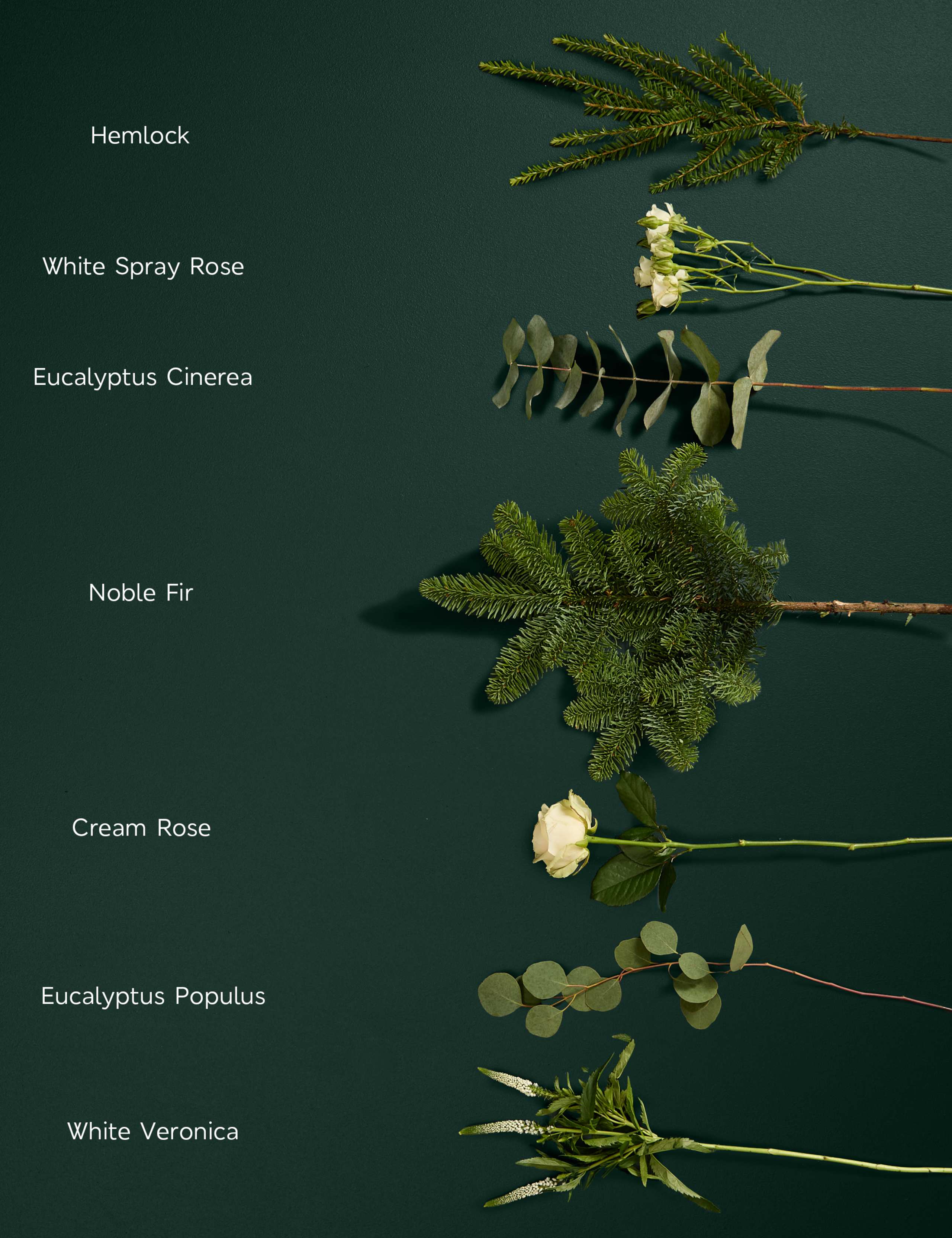 Luxury White Rose & Eucalyptus Bouquet 4 of 4