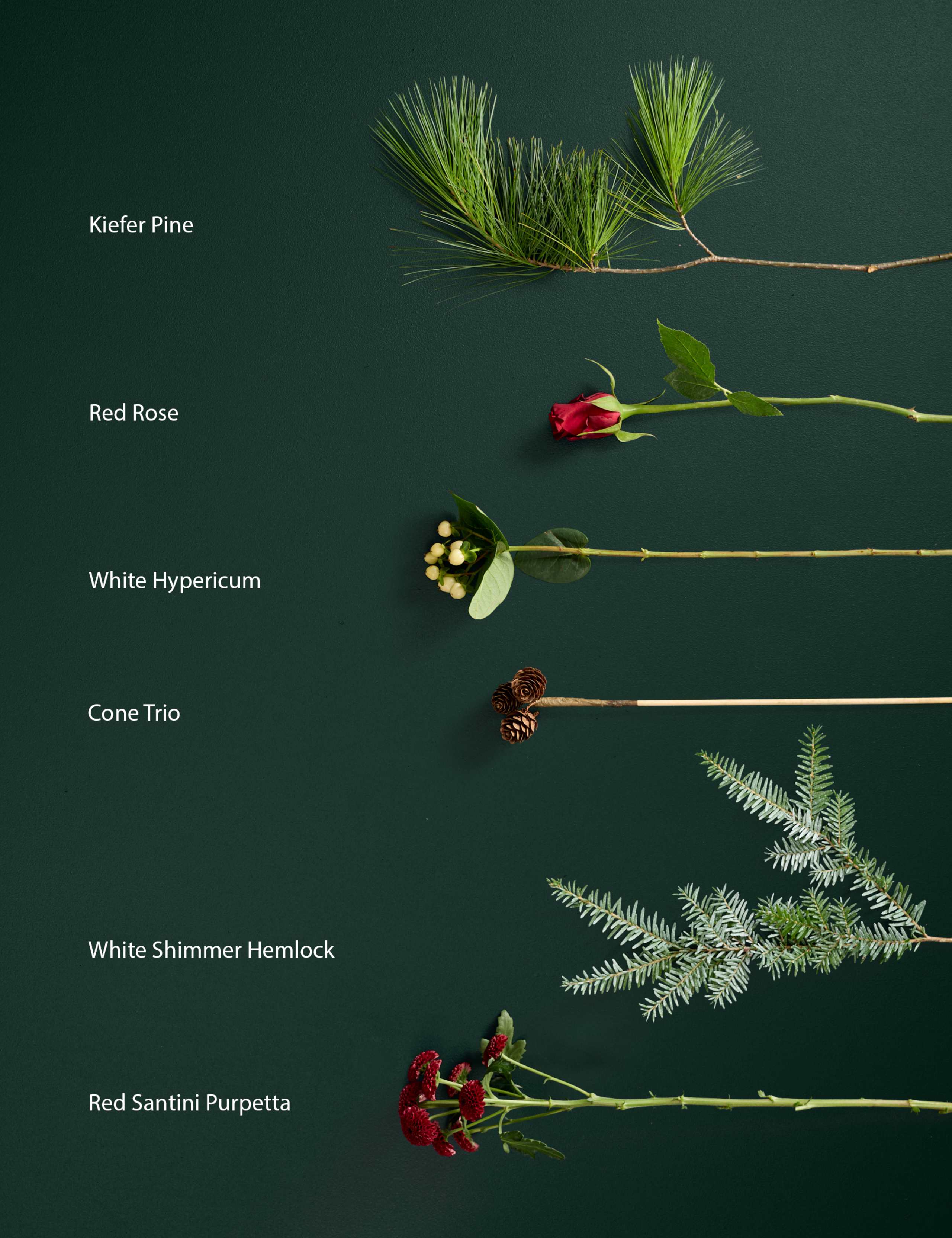 Christmas Flower Tablescape (Delivery from 10th December) 5 of 6