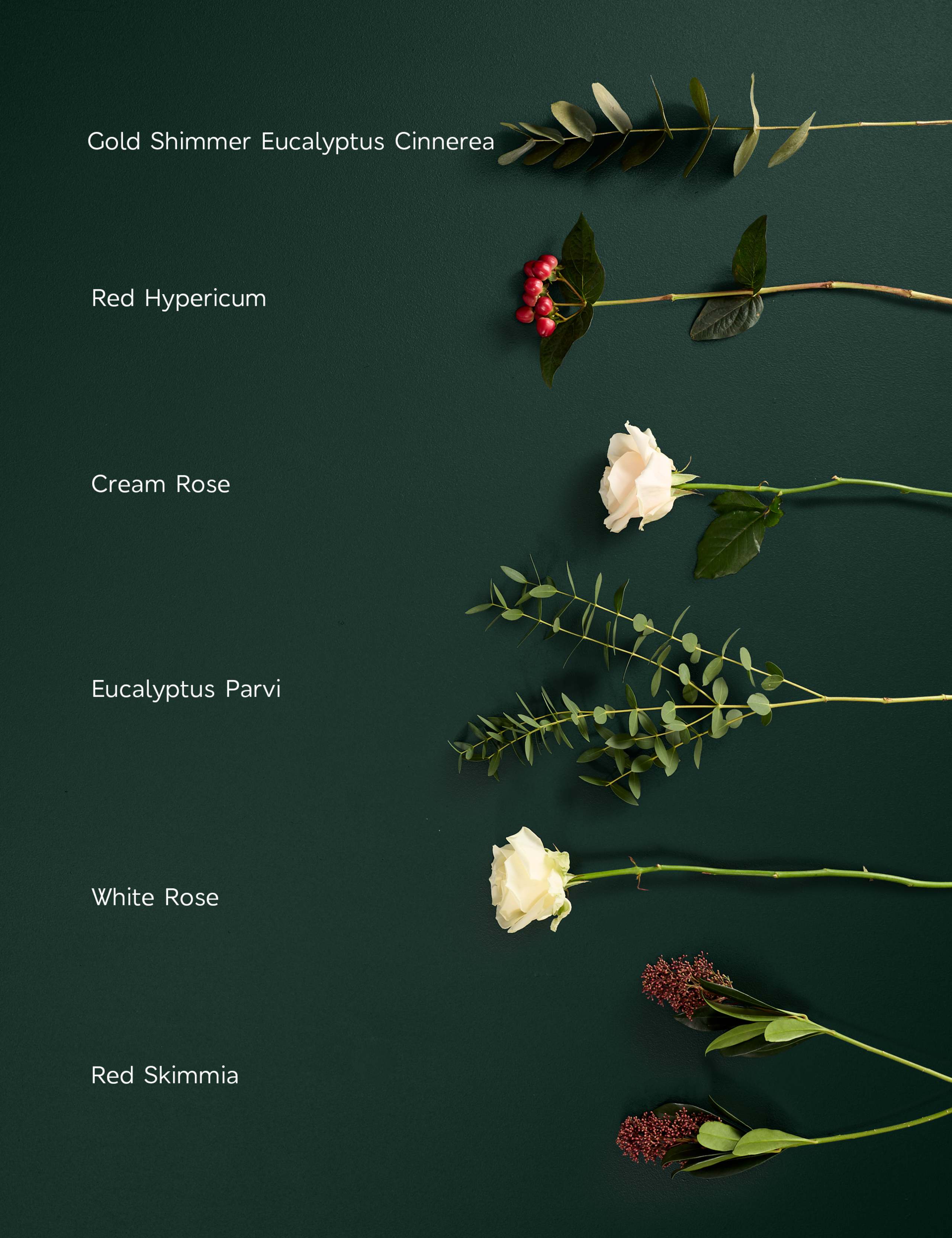 The Gift of Christmas Calm 5 of 7