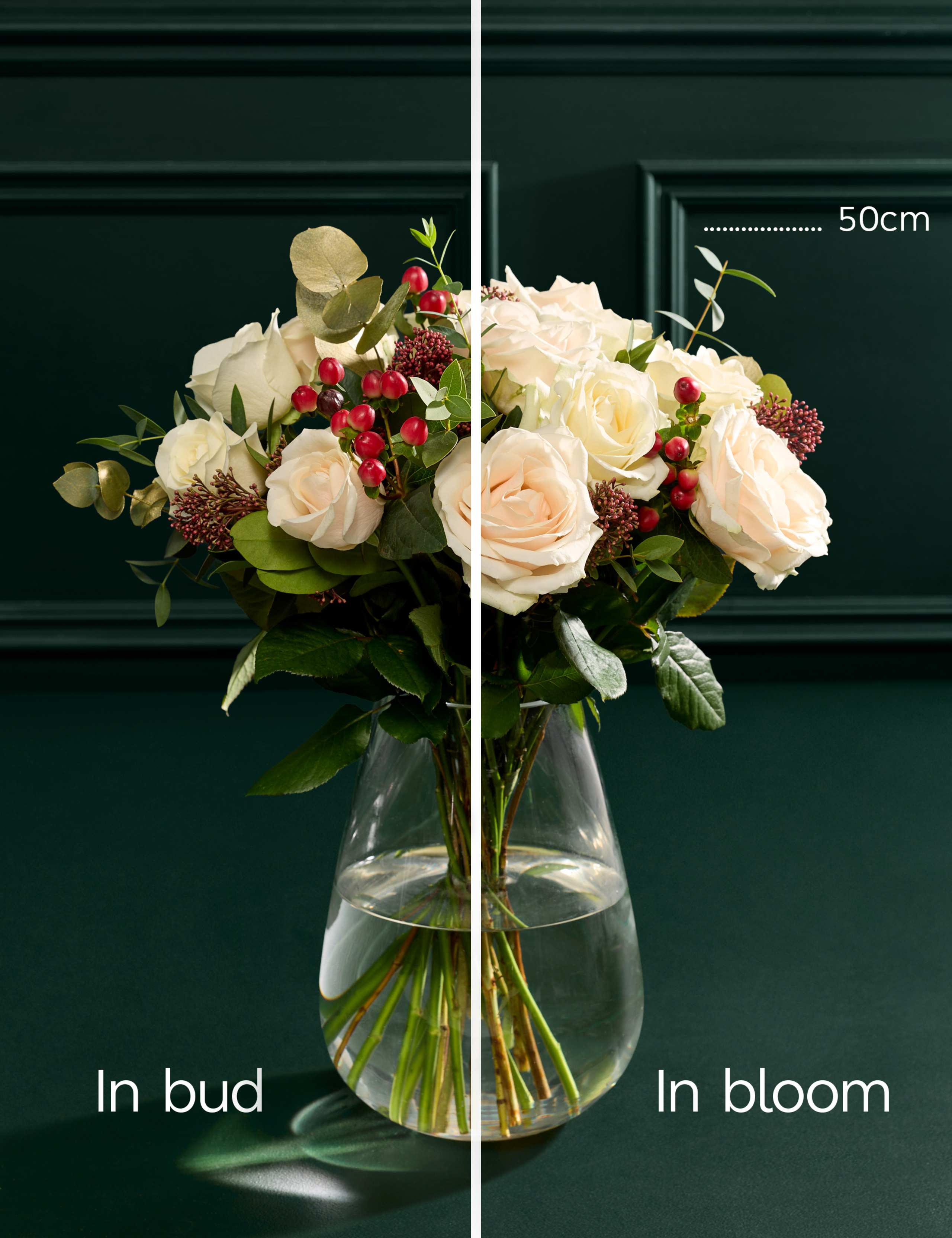 The Gift of Christmas Calm 6 of 7