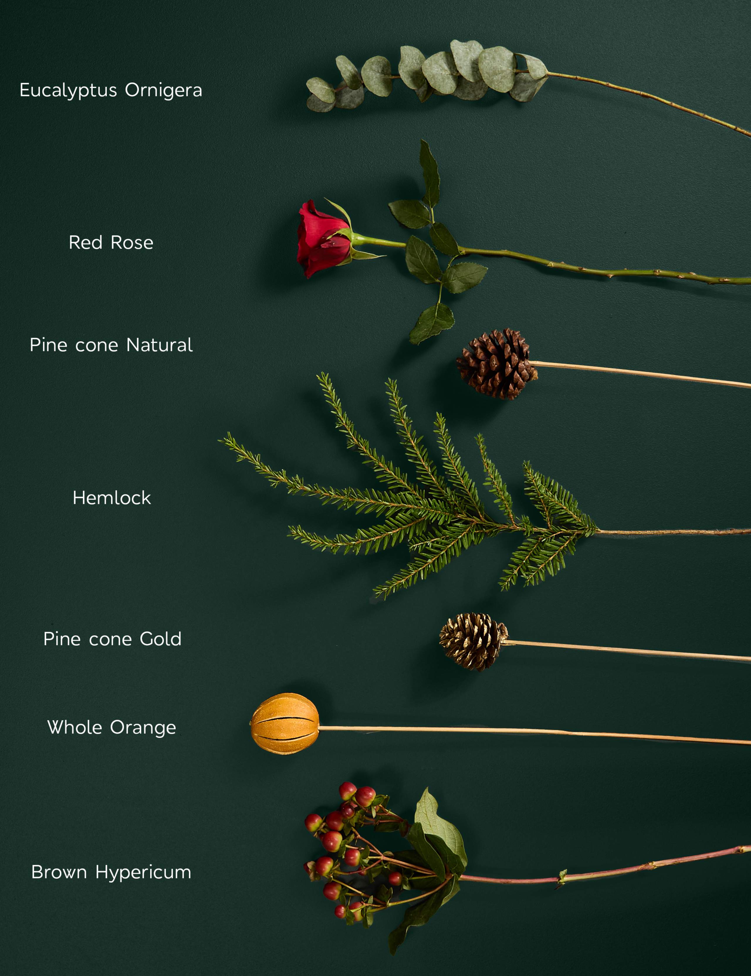 Festive Red Rose & Hypericum 4 of 4