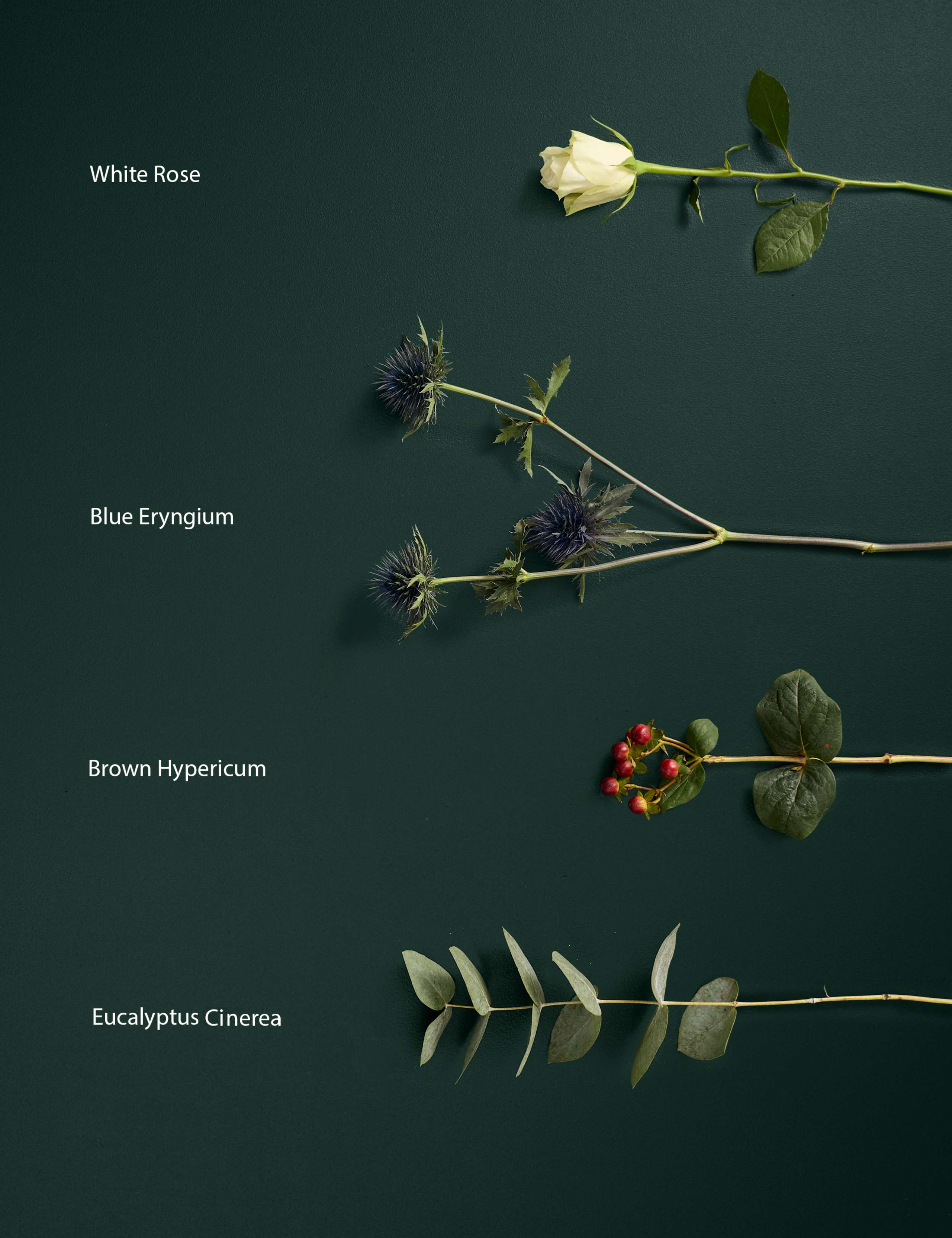 Festive White Rose & Hypericum Bouquet 4 of 7