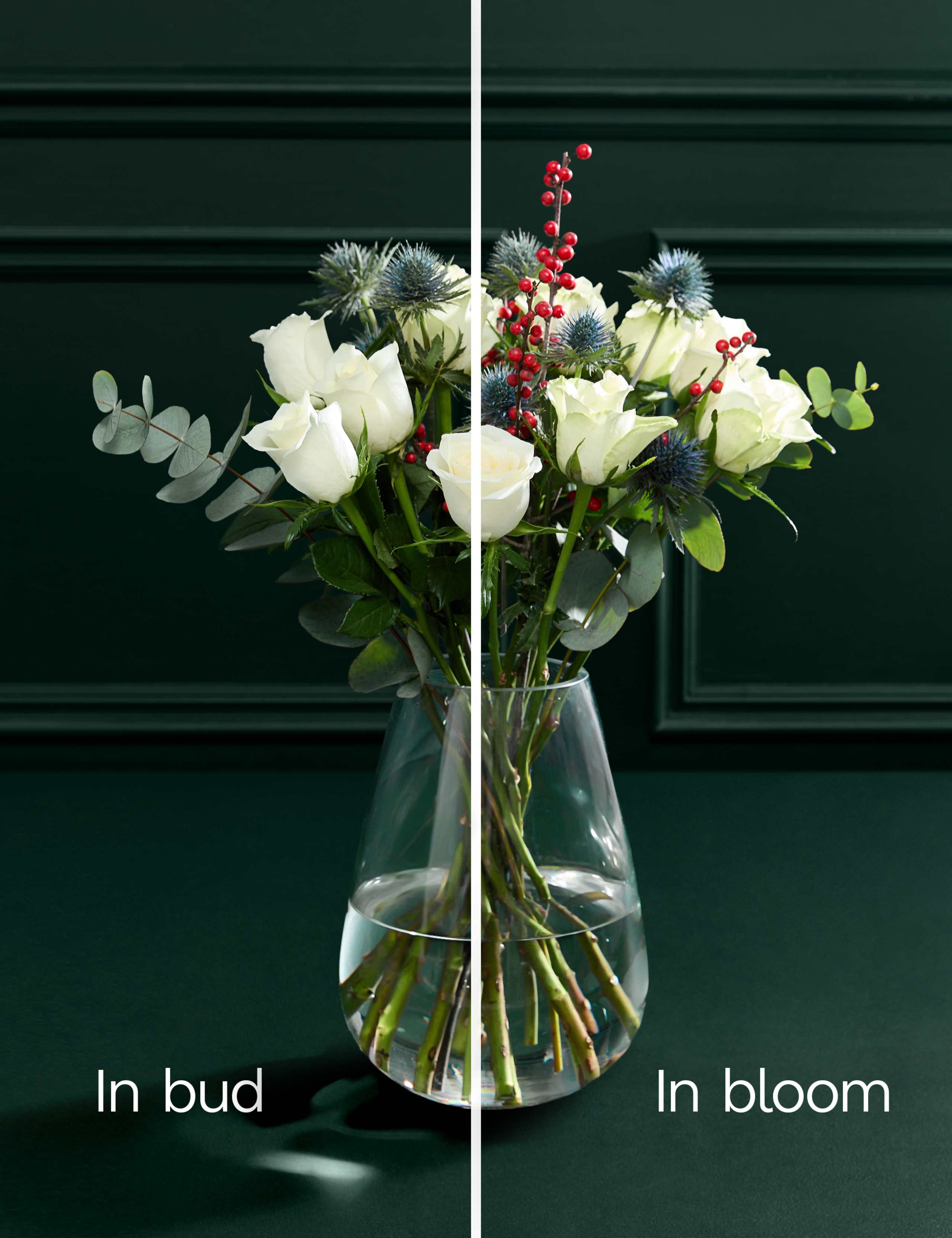 Festive White Rose & Ilex Bouquet 5 of 7
