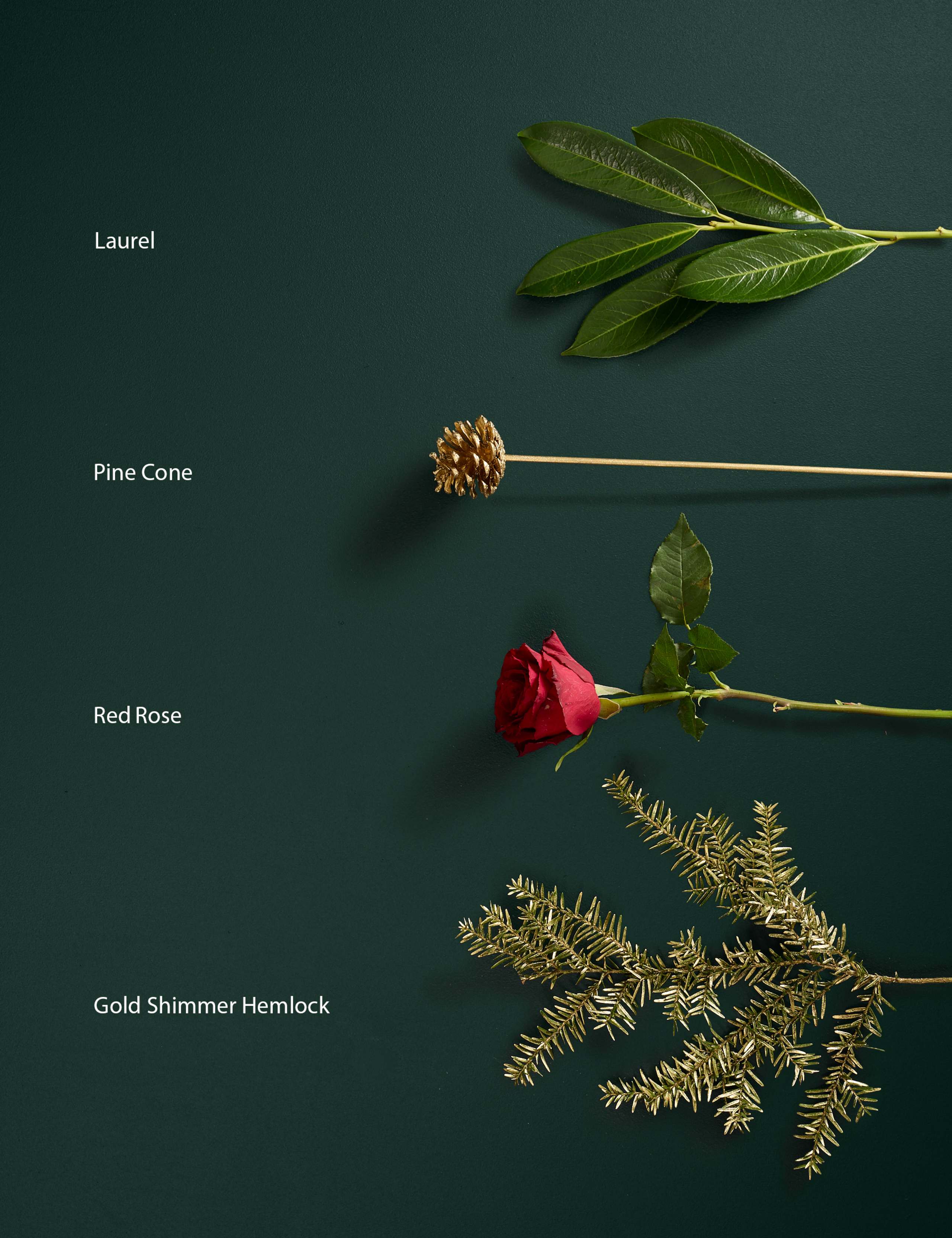 Red Rose & Pine Cone Bouquet 4 of 5